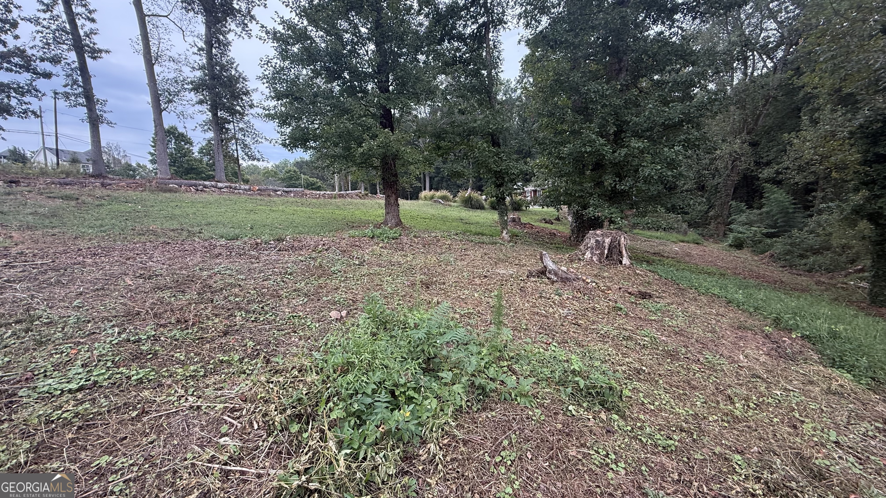 5165 Thompson Mill Road Property Photo 12