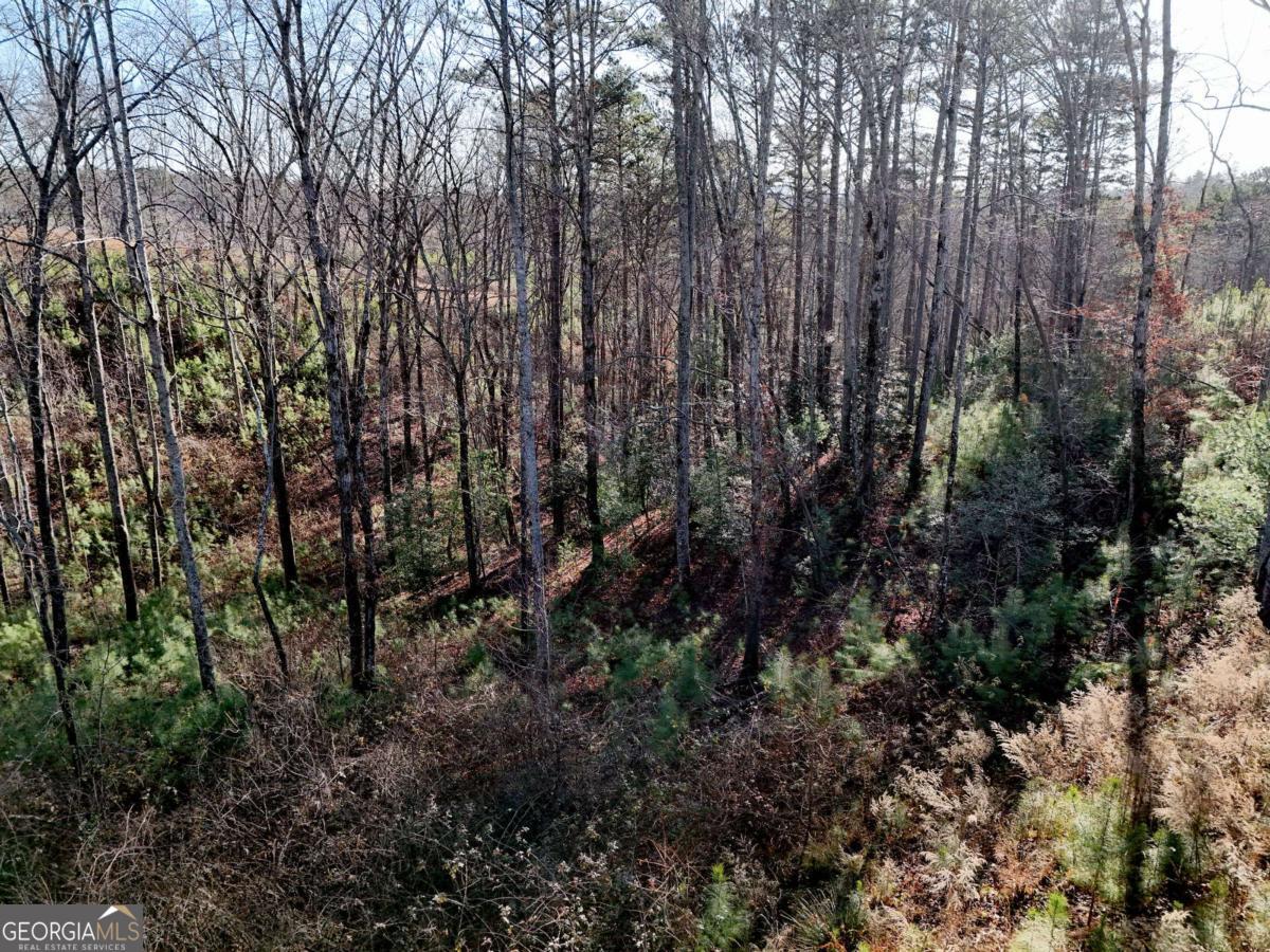 Lot 173 Lecroy Drive Property Photo 16