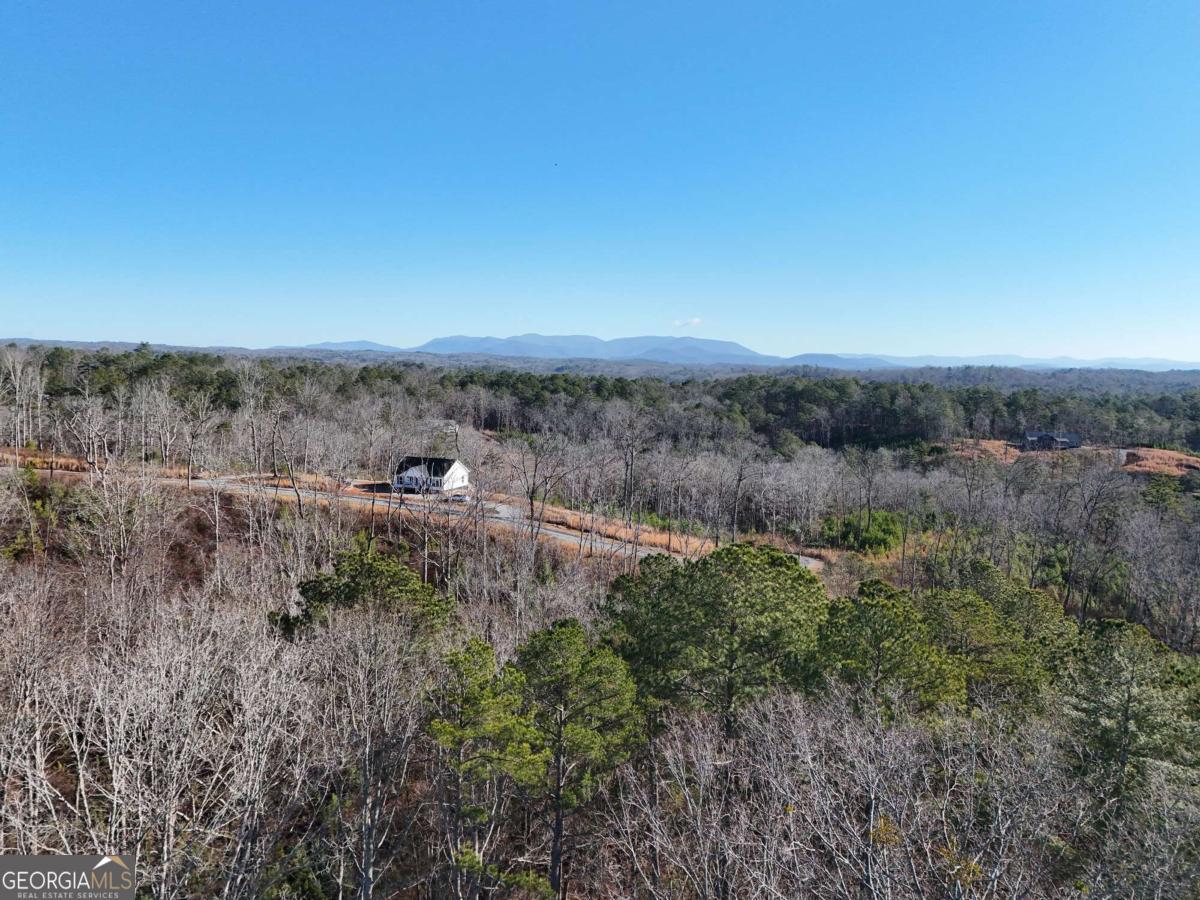 Lot 173 Lecroy Drive Property Photo 29