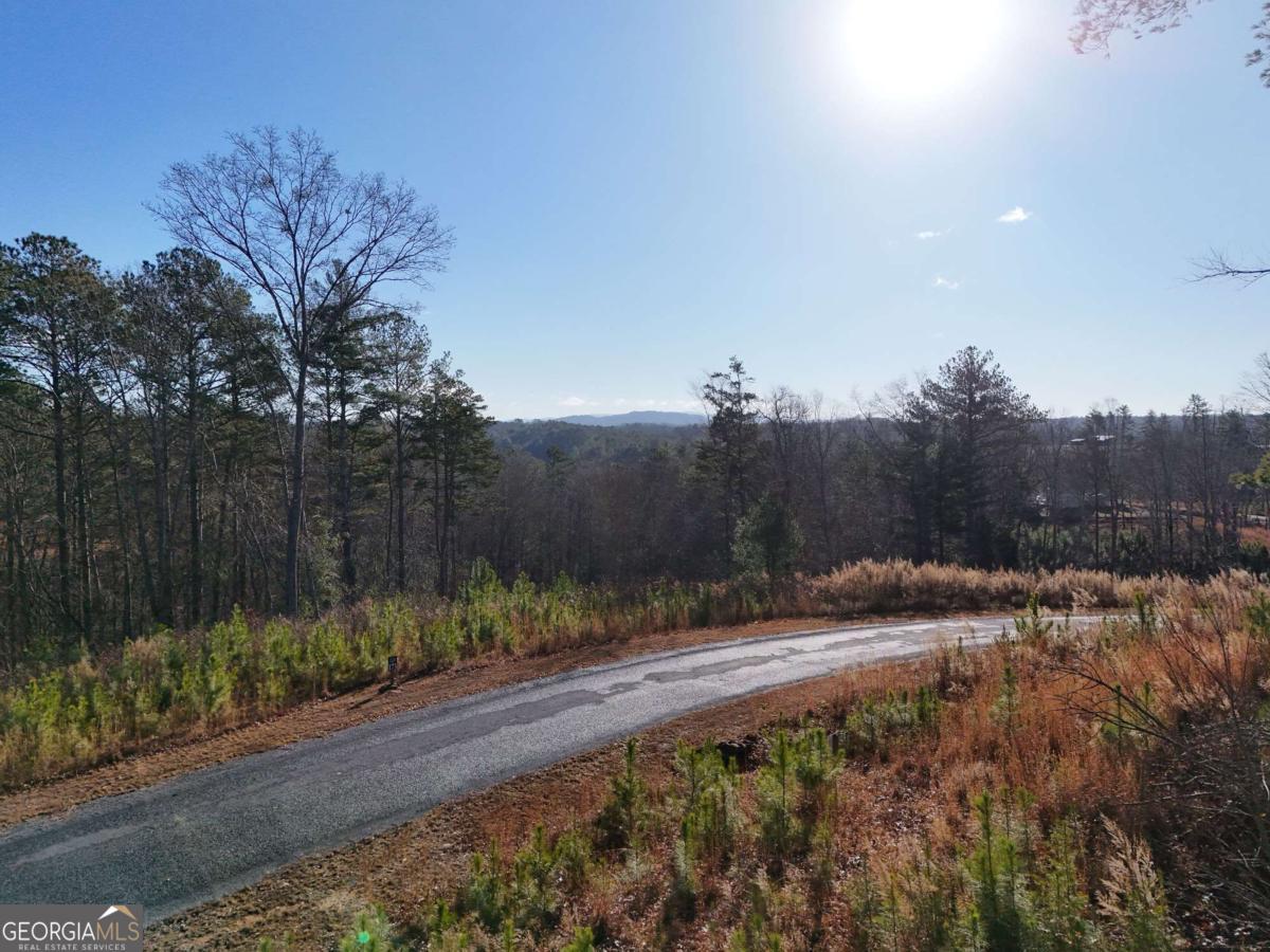 Lot 173 Lecroy Drive Property Photo 46