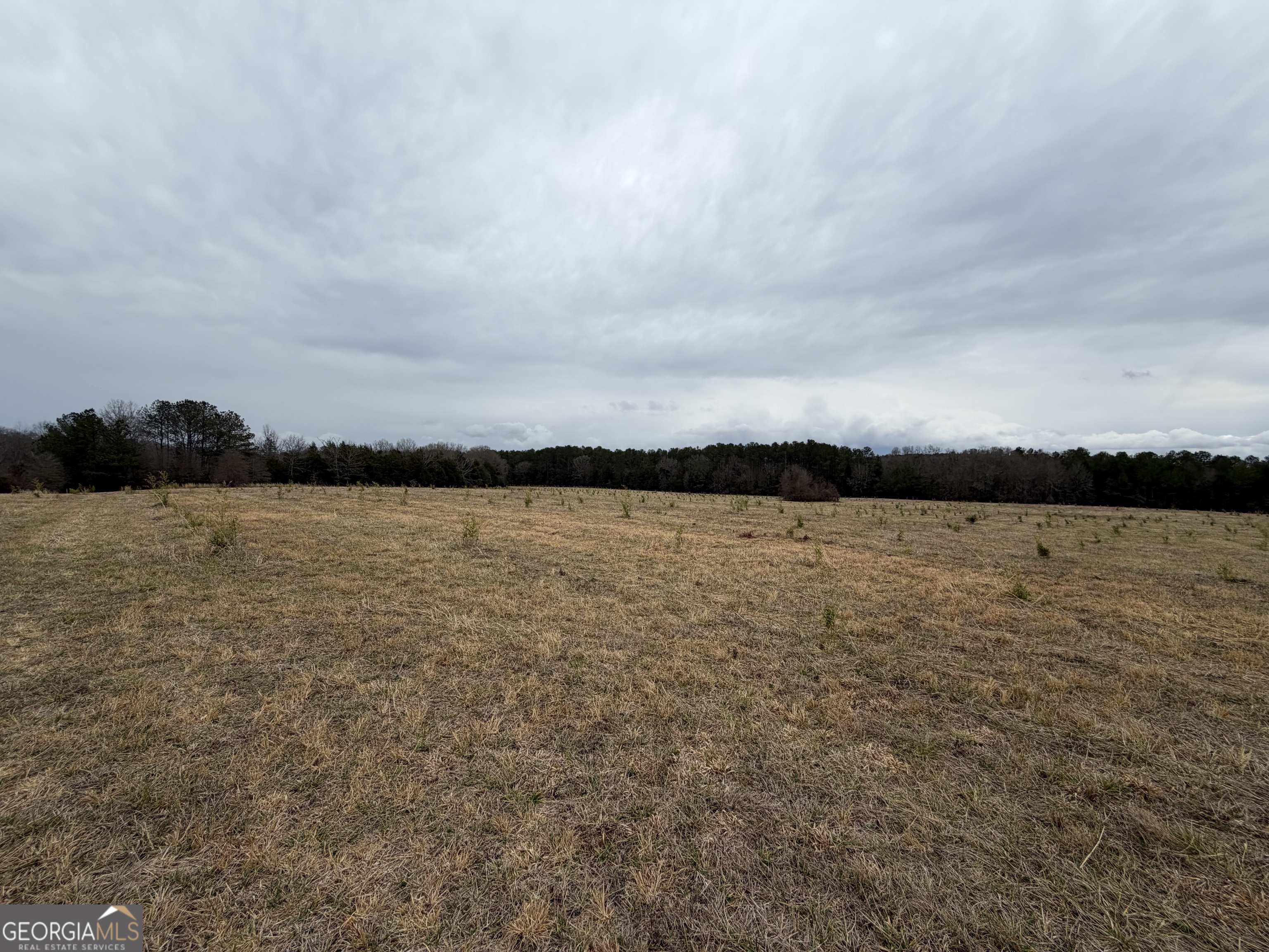 01 Seneca Street Property Photo 32