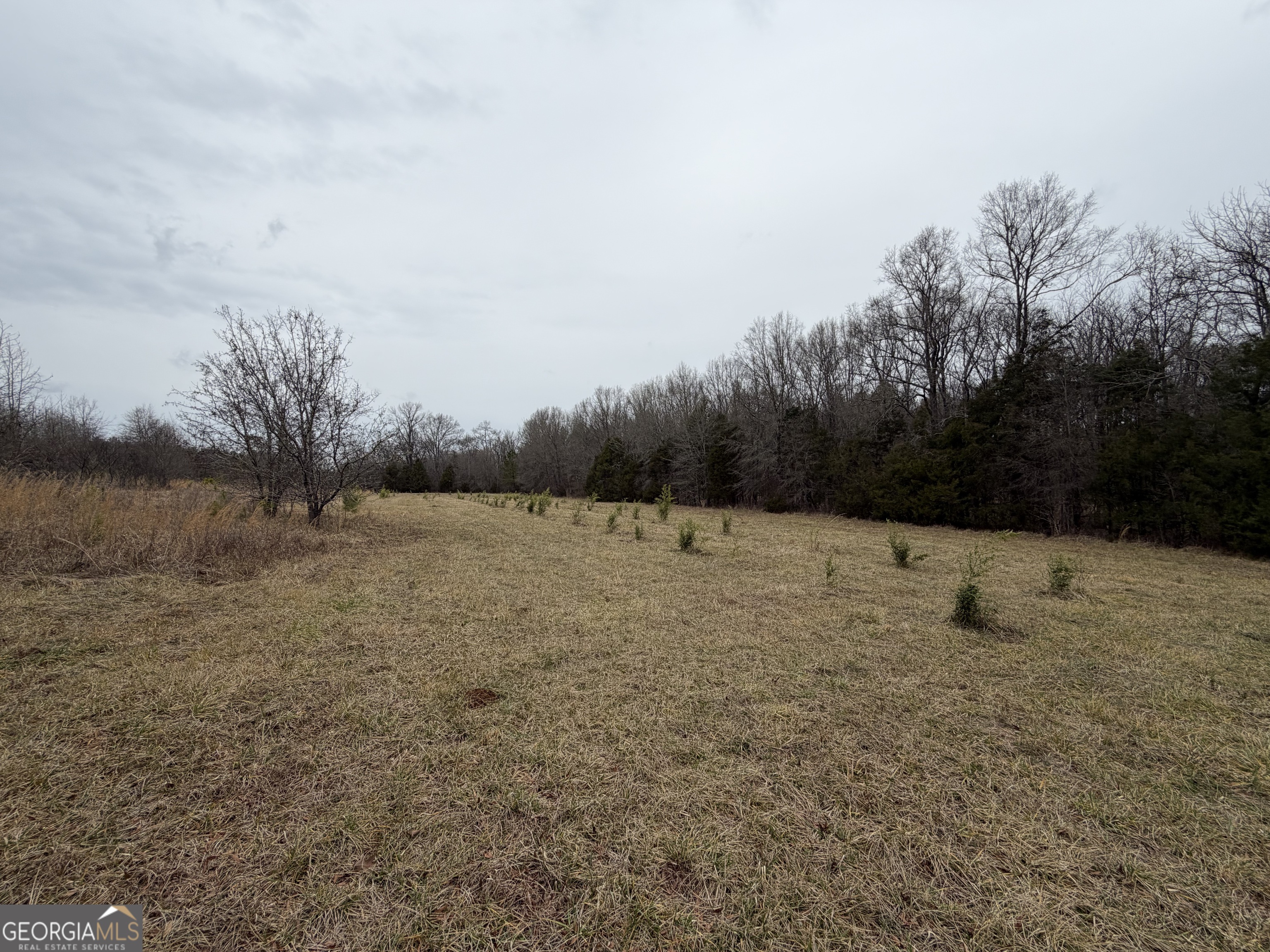 01 Seneca Street Property Photo 34