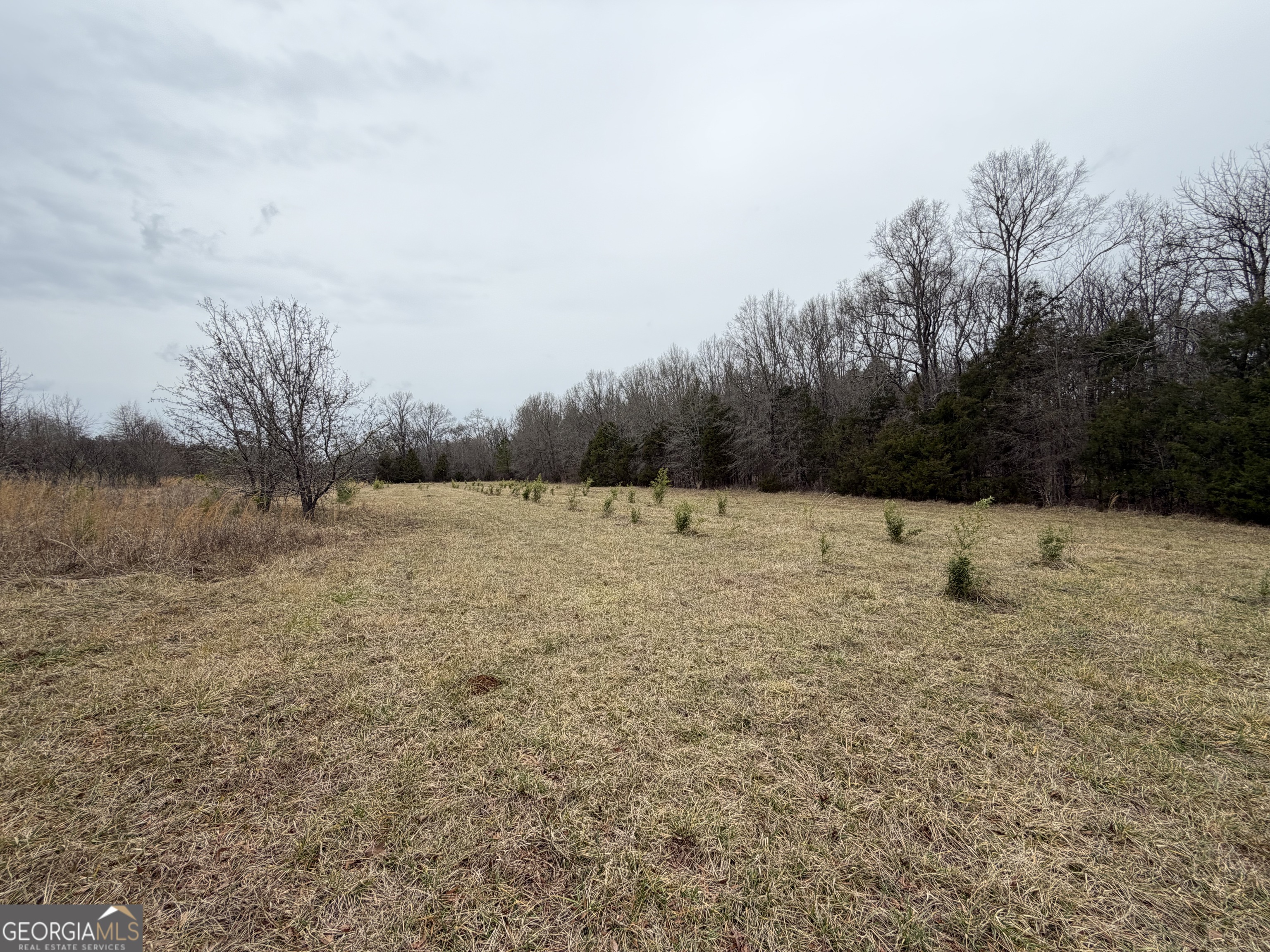 01 Seneca Street Property Photo 35