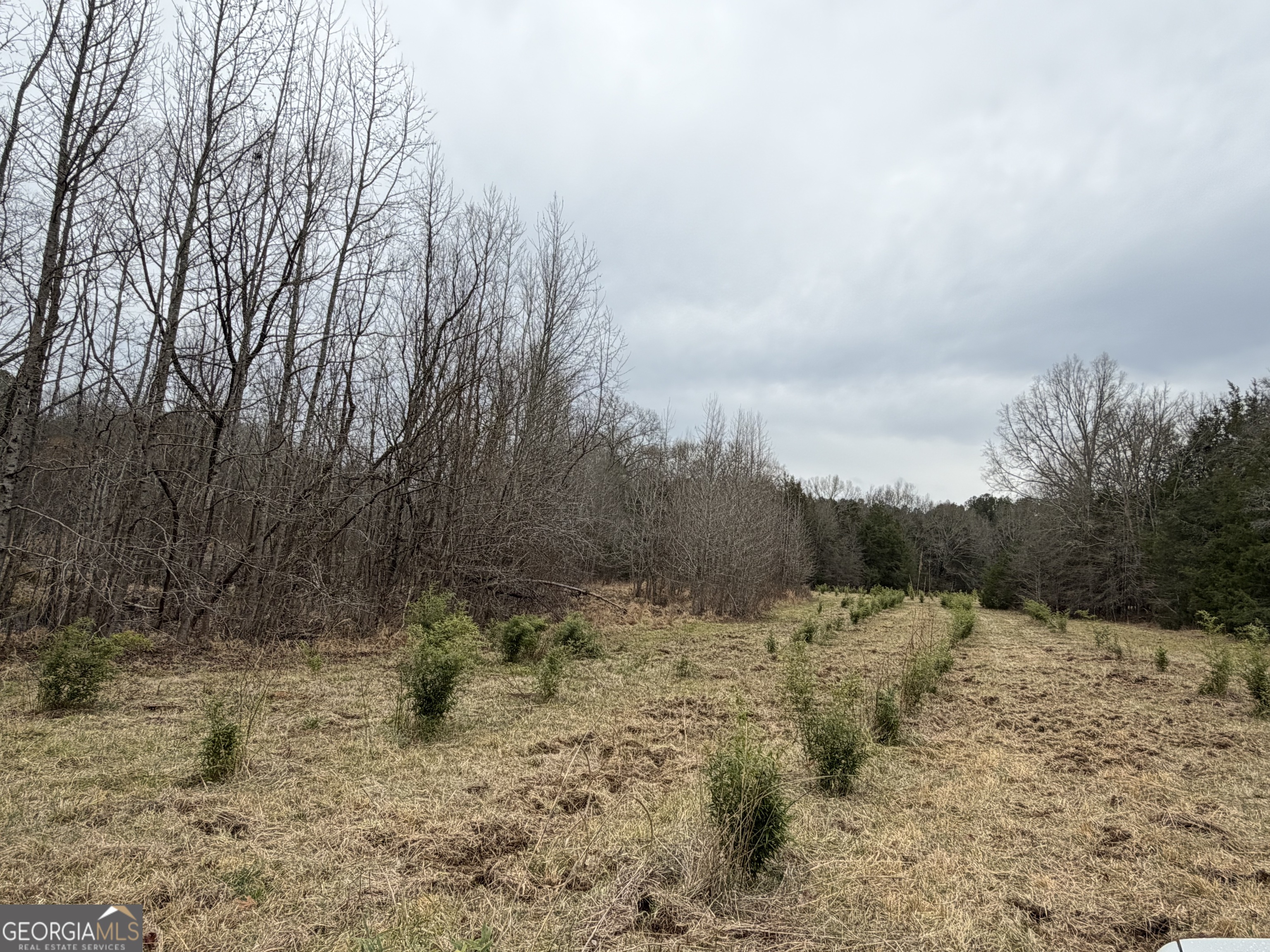 01 Seneca Street Property Photo 36
