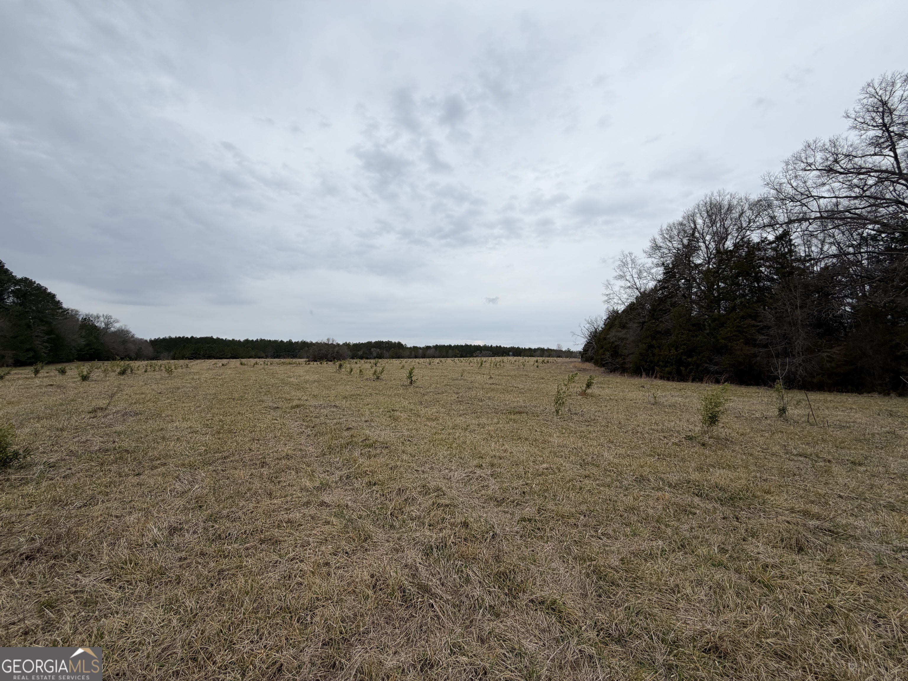 01 Seneca Street Property Photo 37