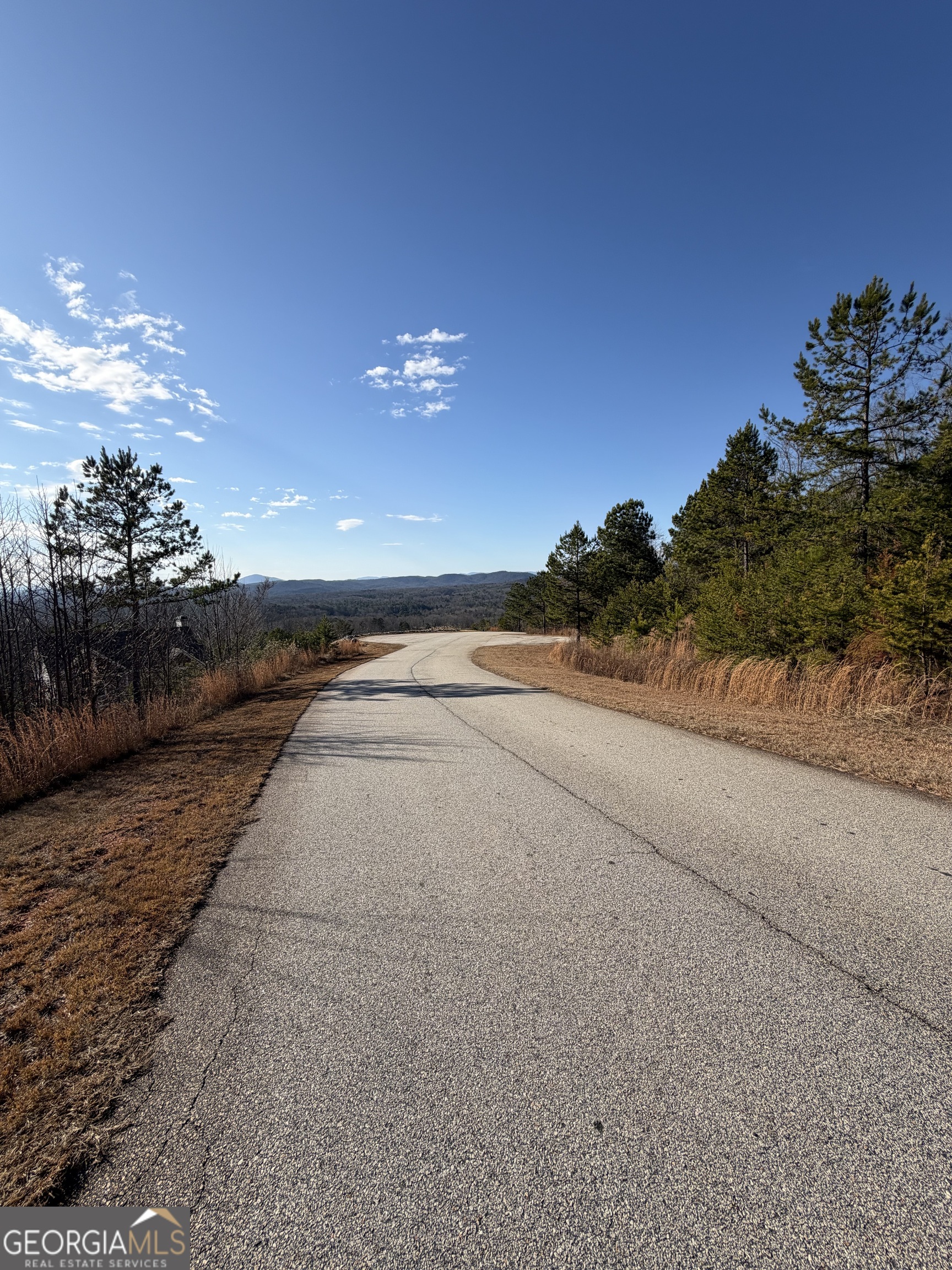 0 Mountain Ridge Drive Lot 42 Property Photo 4