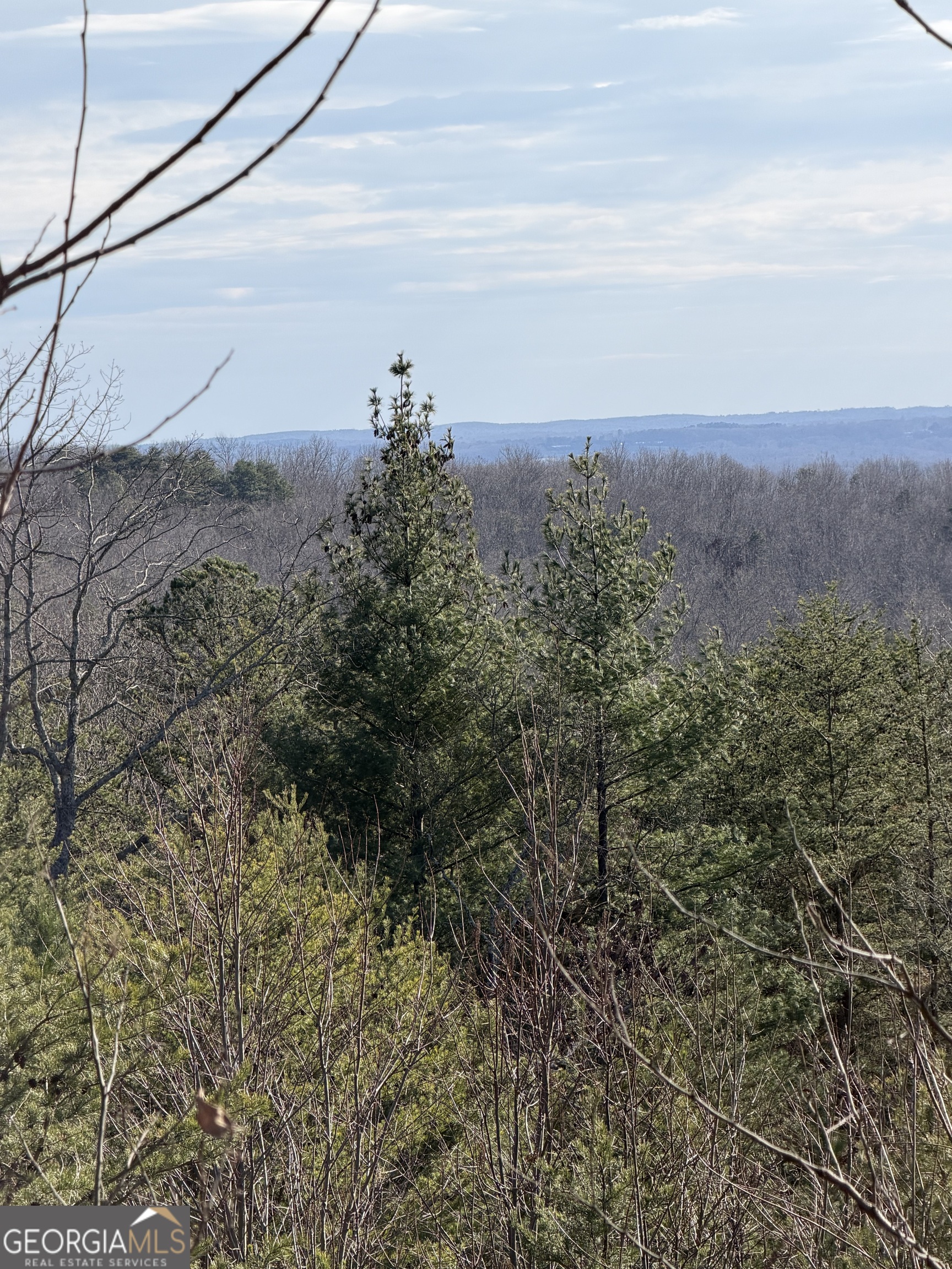 0 Mountain Ridge Drive Lot 42 Property Photo 5