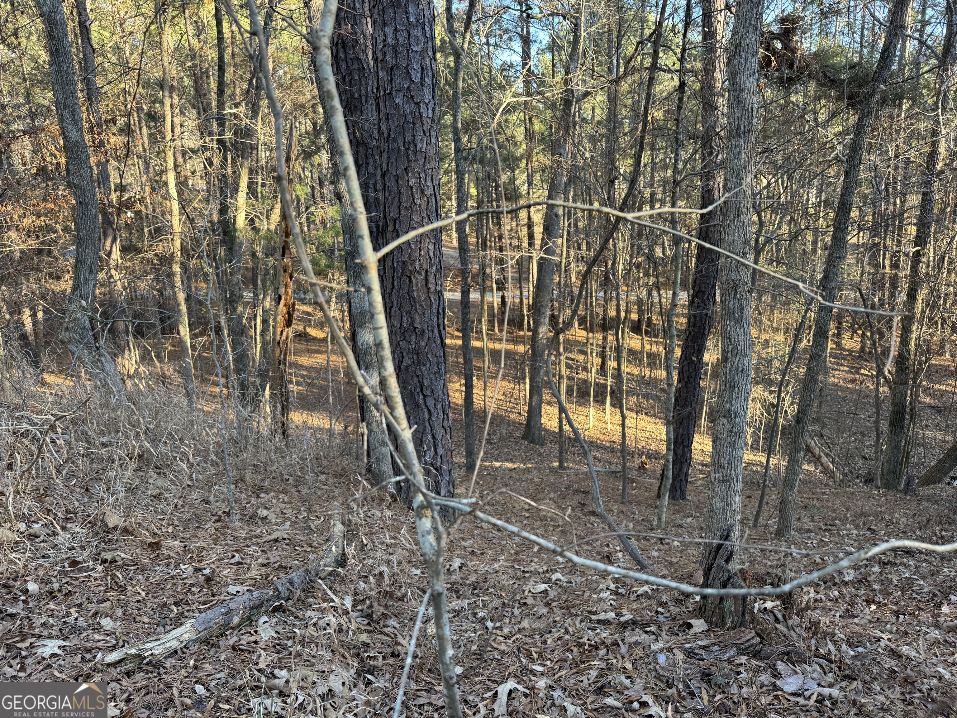 1421 Pullman Lane Property Photo 8