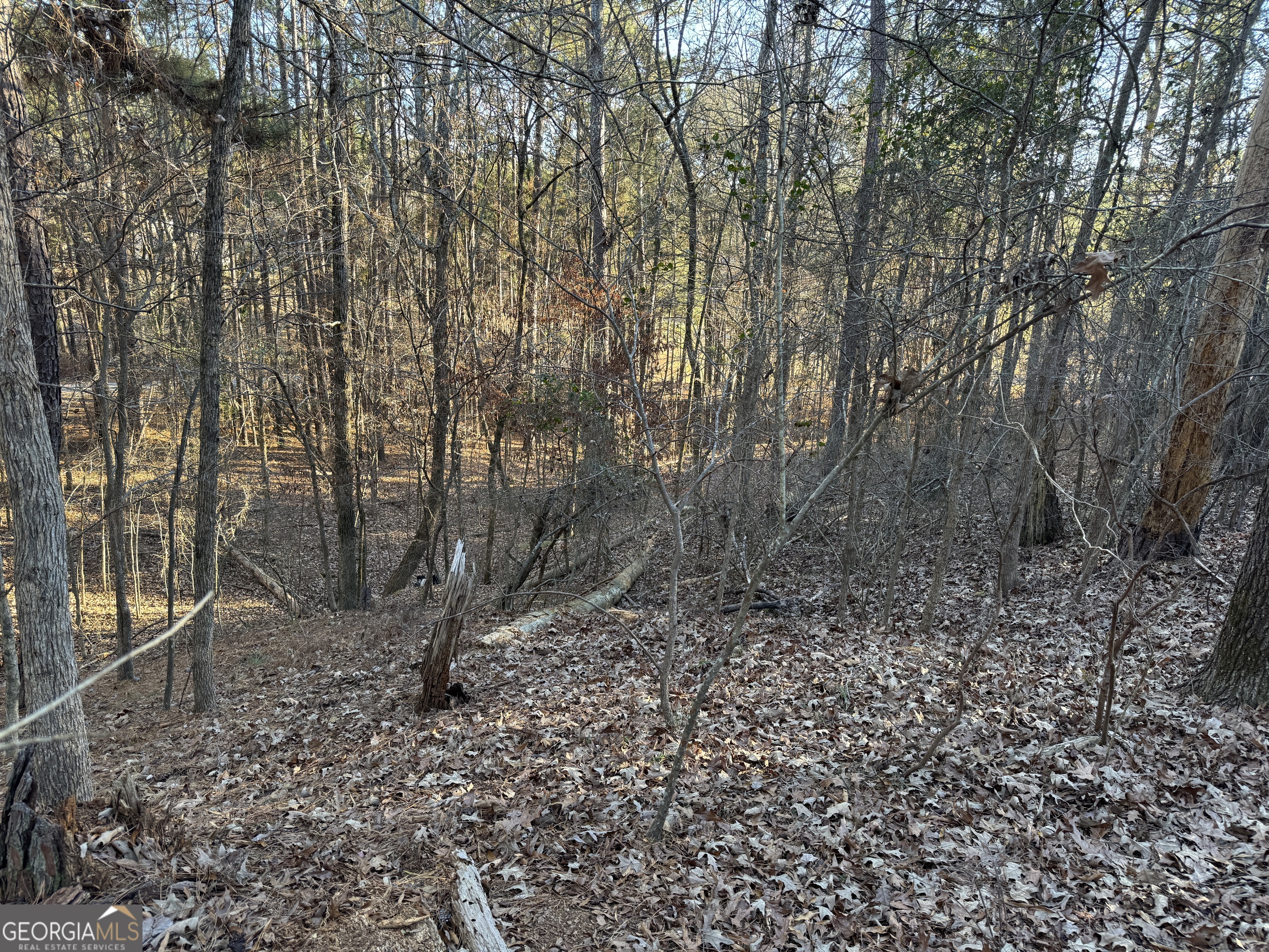 1421 Pullman Lane Property Photo 9