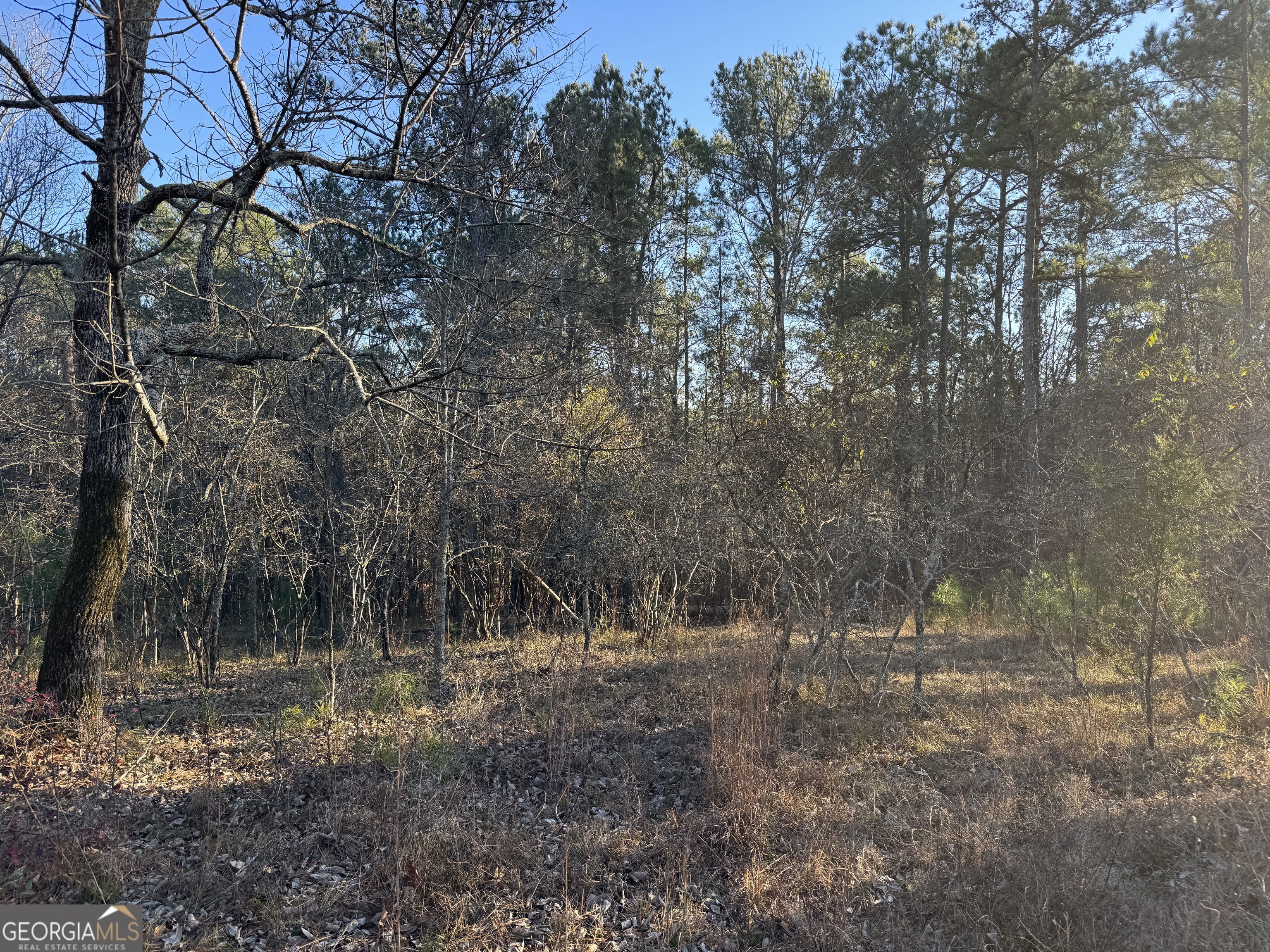 1421 Pullman Lane Property Photo 11
