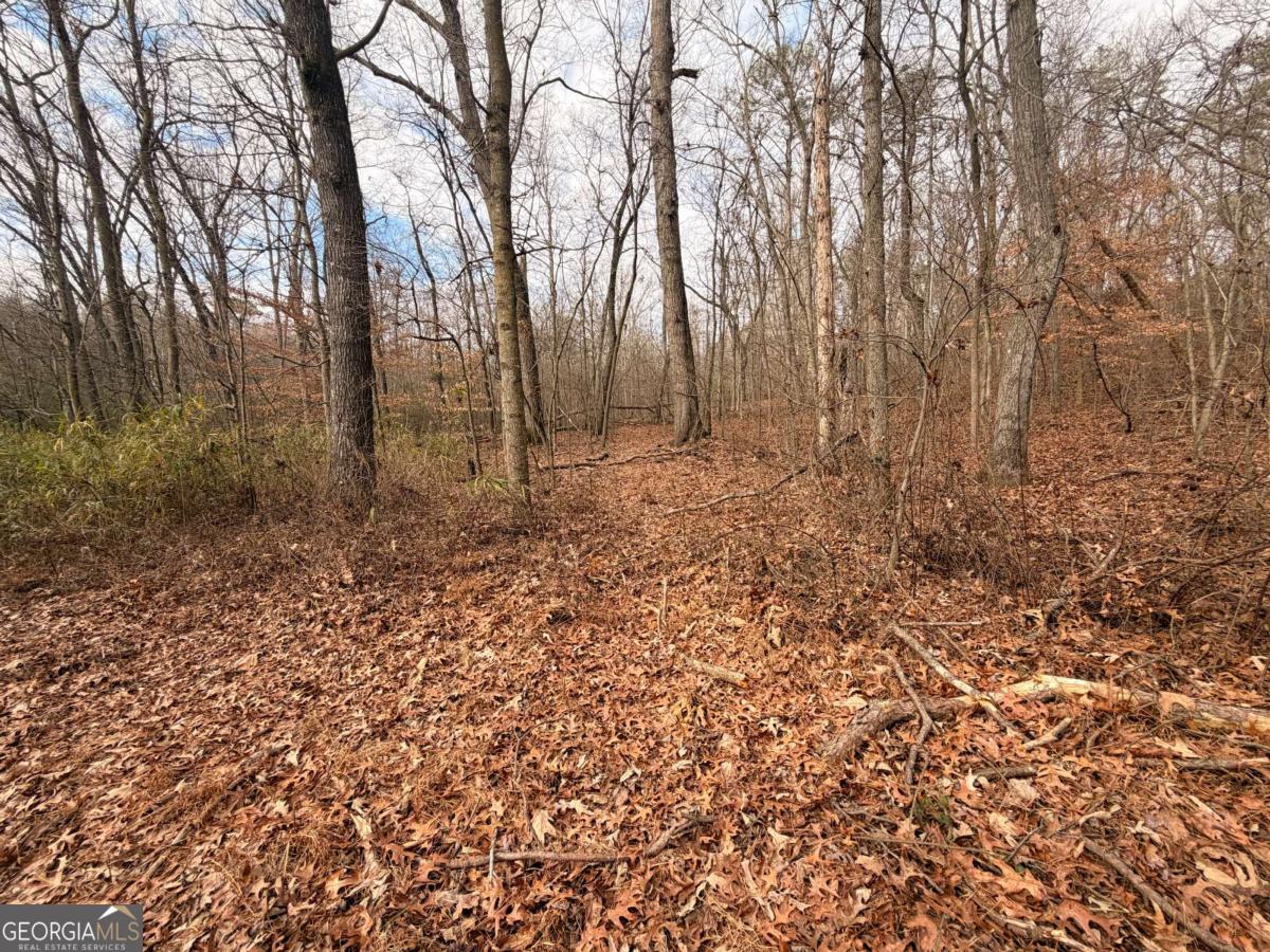 1830 Us Highway 27 N Property Photo 3