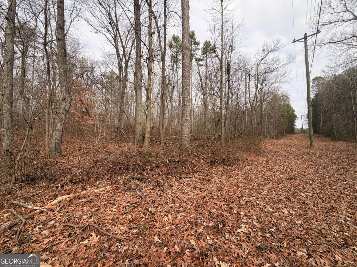1830 Us Highway 27 N Property Photo 4