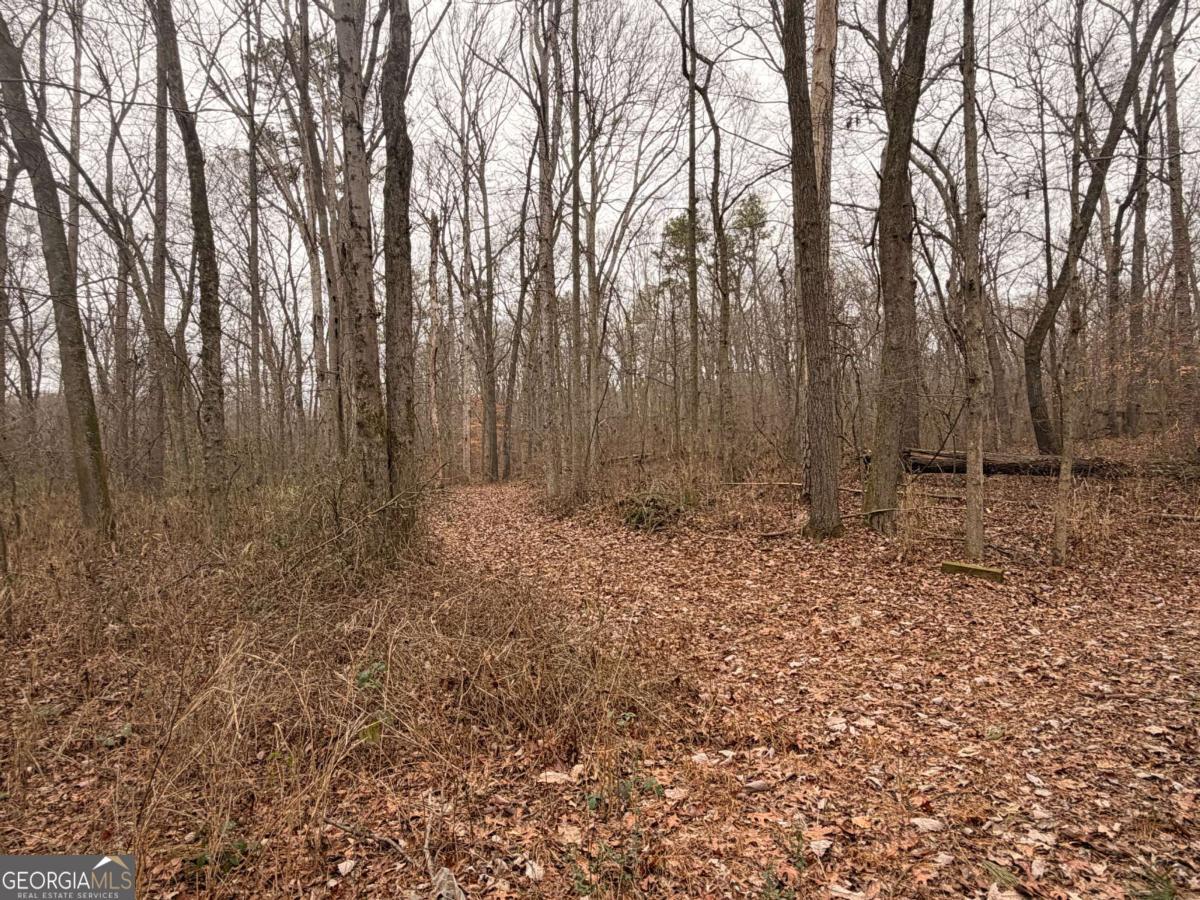 1830 Us Highway 27 N Property Photo 6