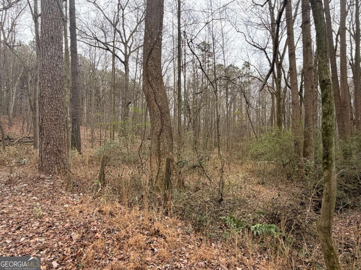 1830 Us Highway 27 N Property Photo 7