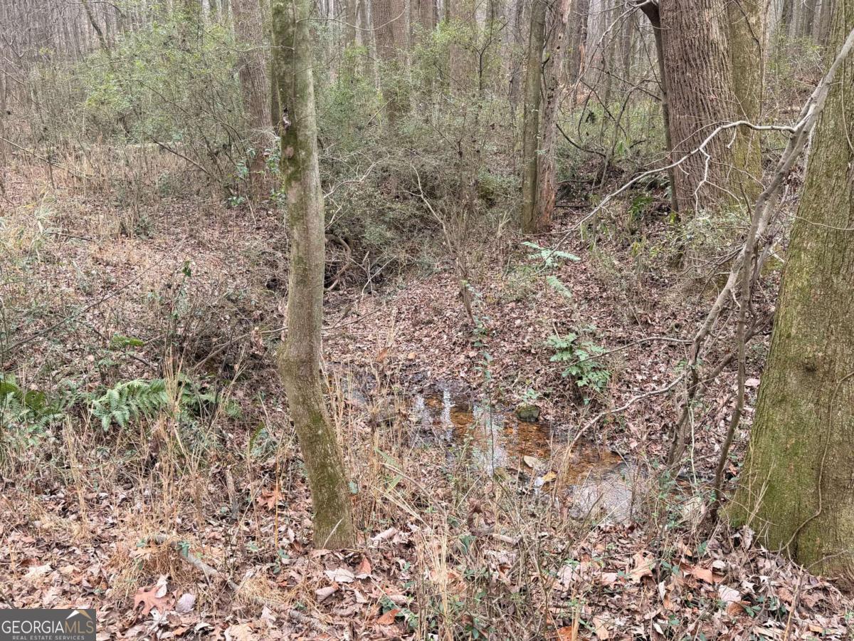 1830 Us Highway 27 N Property Photo 8