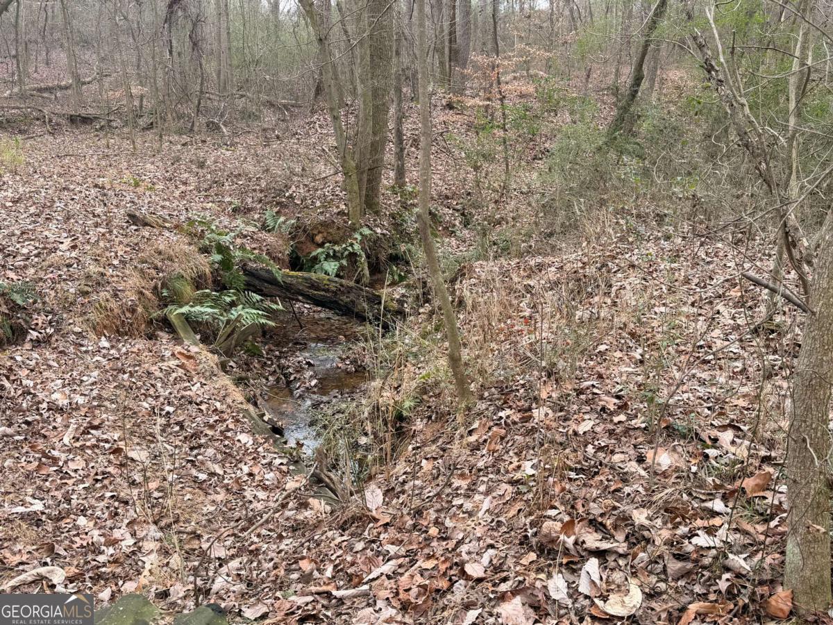 1830 Us Highway 27 N Property Photo 9