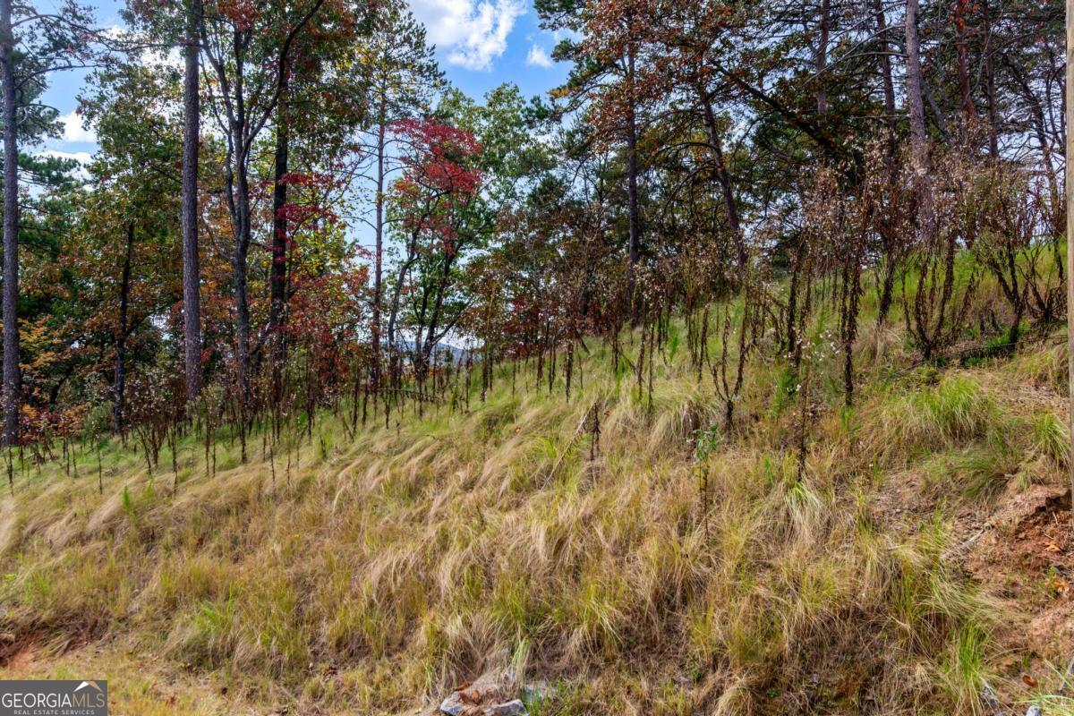 Lot 269 Canoe Way Property Photo 12