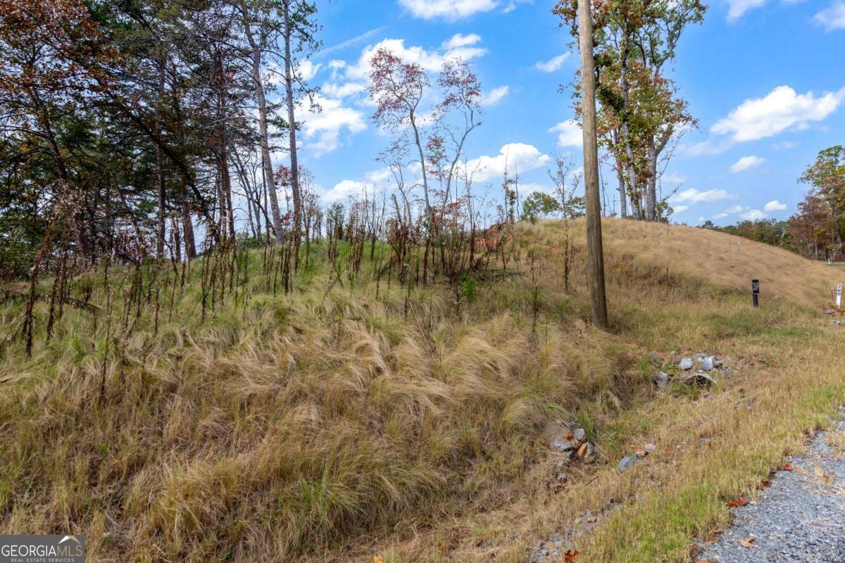 Lot 269 Canoe Way Property Photo 13