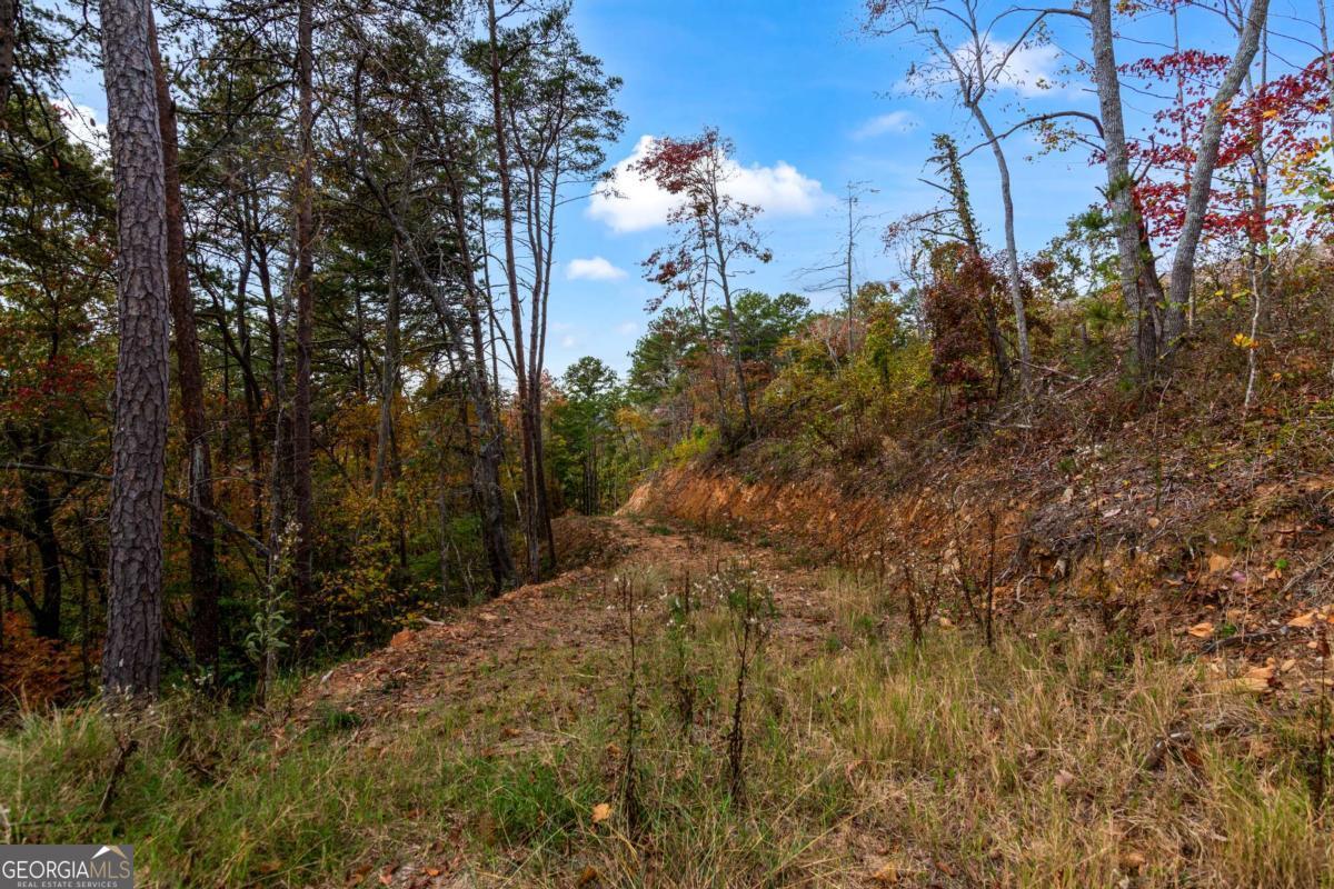Lot 269 Canoe Way Property Photo 14
