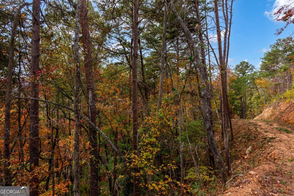 Lot 269 Canoe Way Property Photo 15