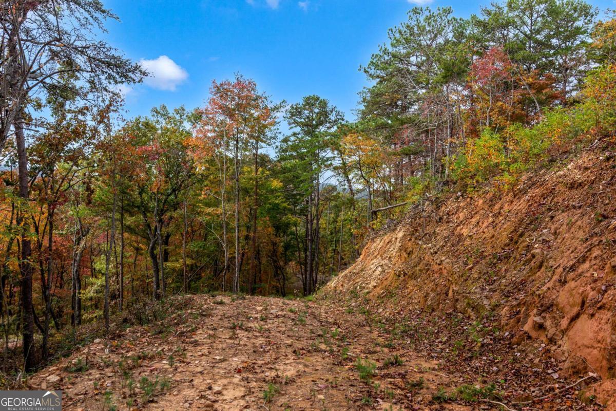 Lot 269 Canoe Way Property Photo 16