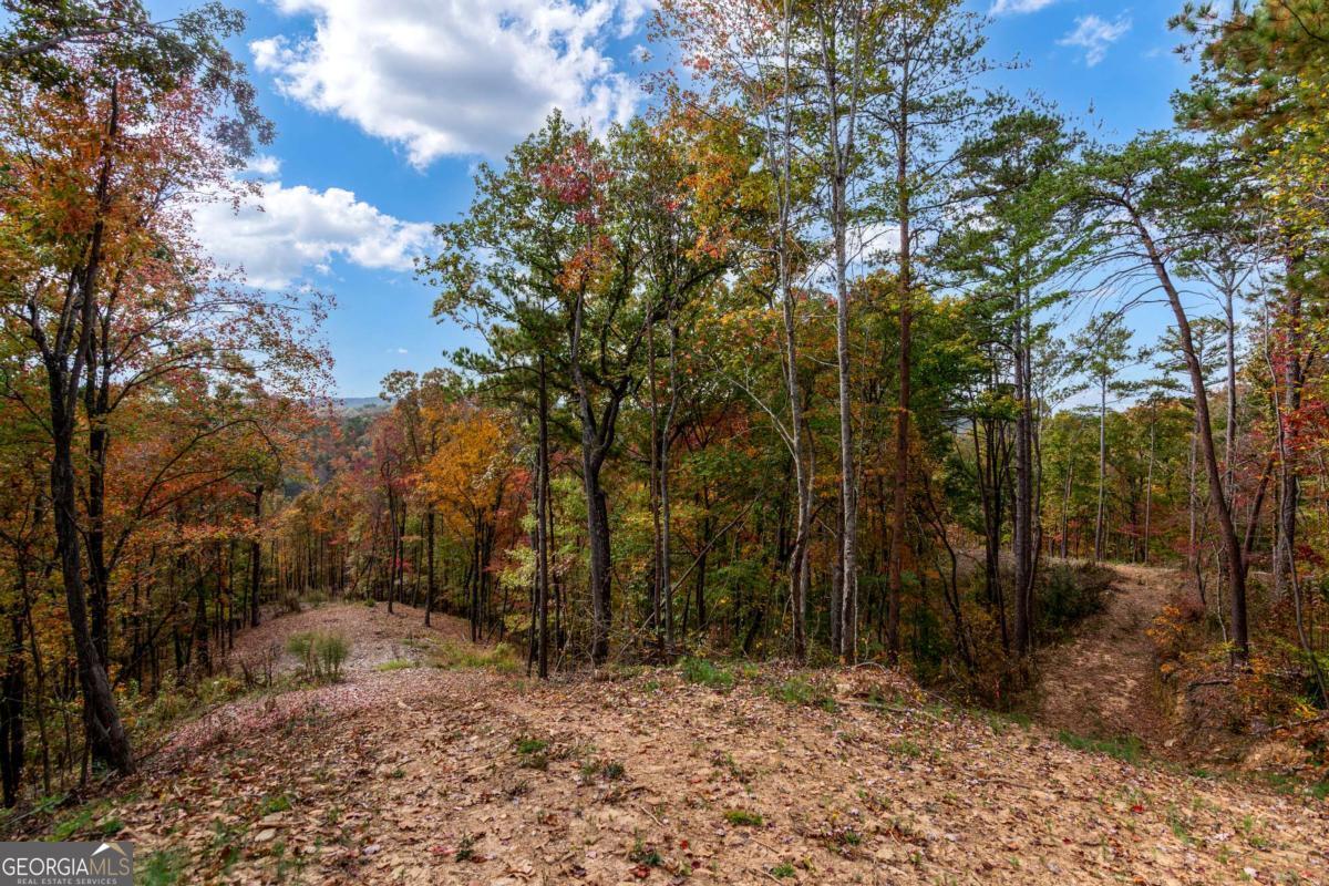 Lot 269 Canoe Way Property Photo 17