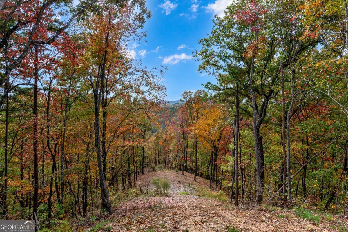 Lot 269 Canoe Way Property Photo 18