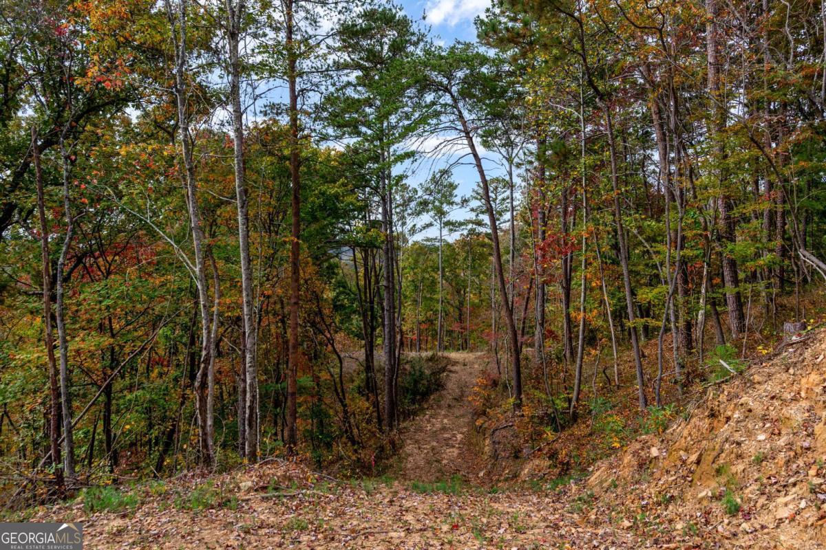 Lot 269 Canoe Way Property Photo 19