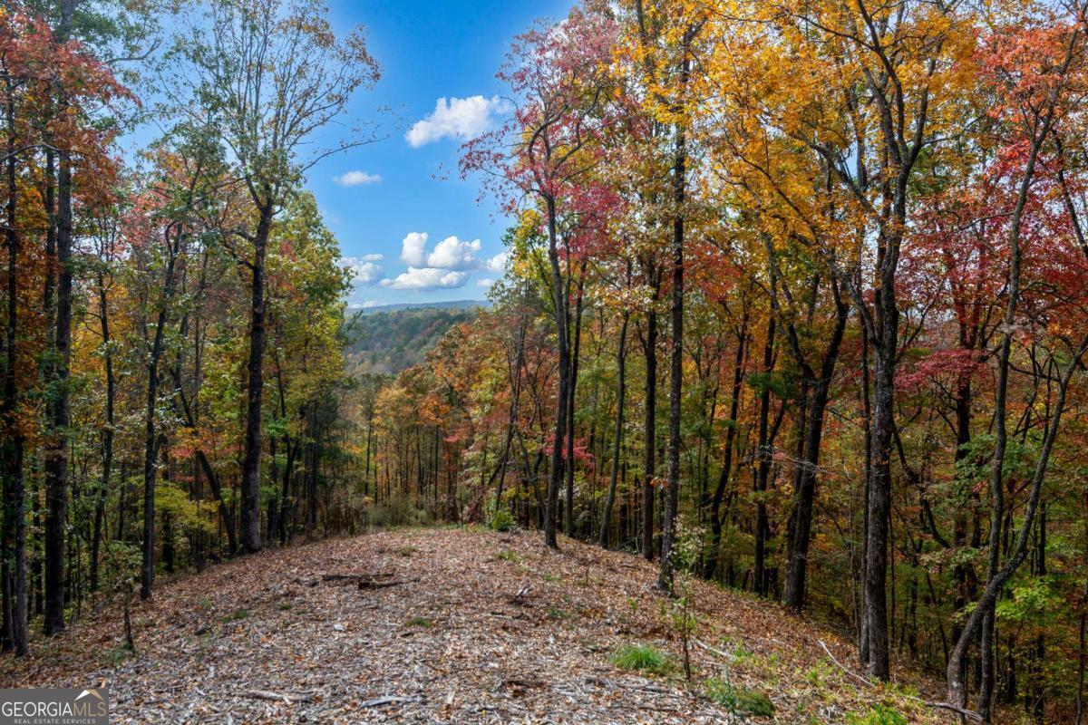 Lot 269 Canoe Way Property Photo 20