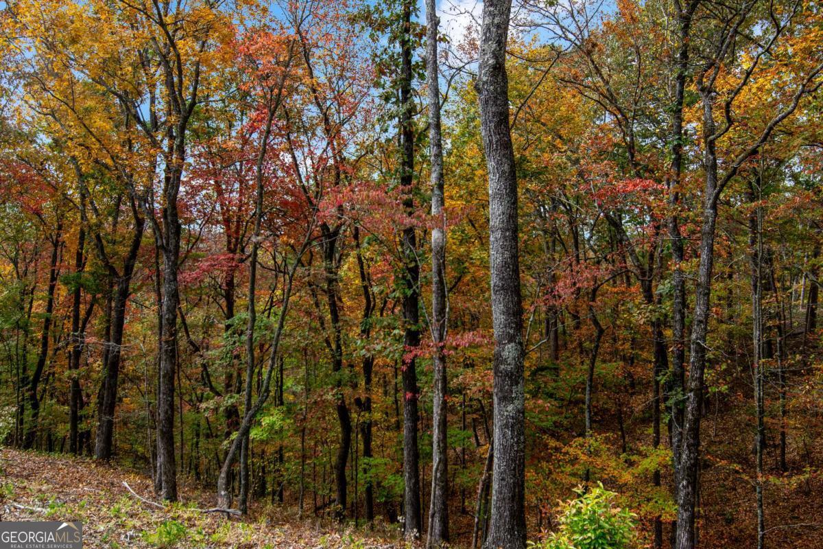 Lot 269 Canoe Way Property Photo 21