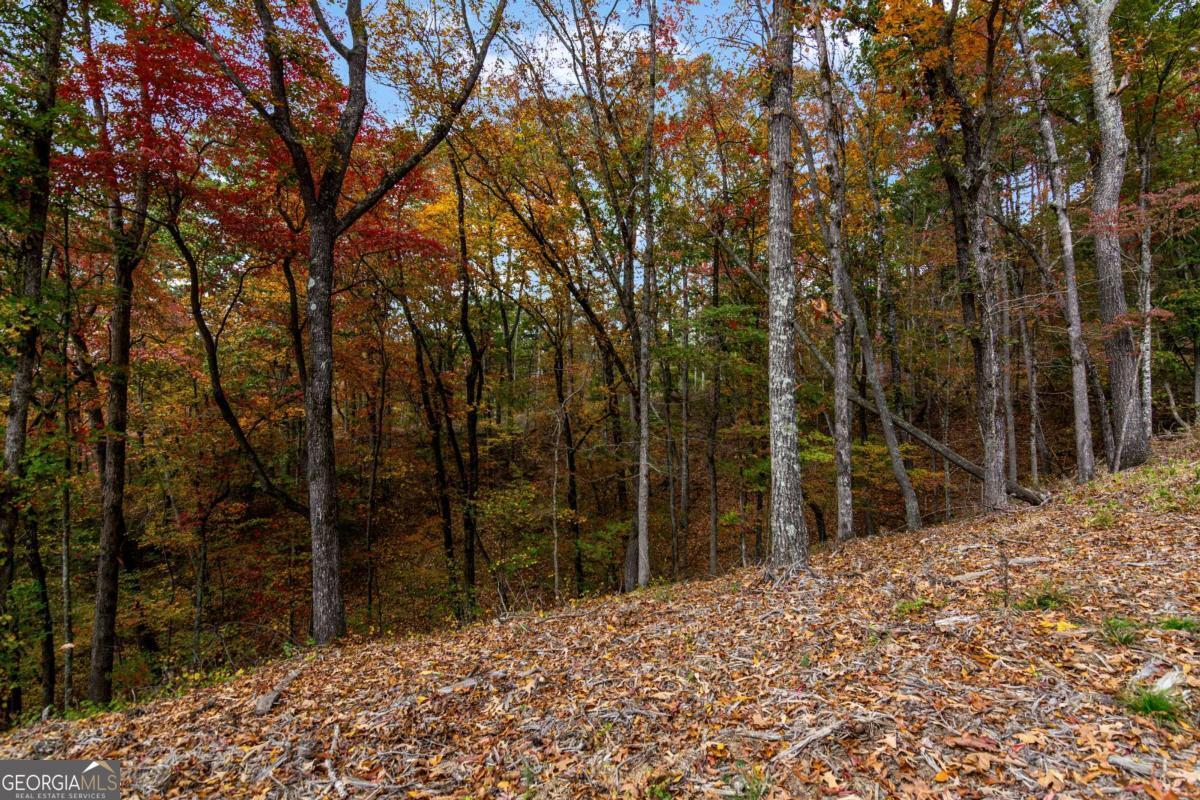 Lot 269 Canoe Way Property Photo 22
