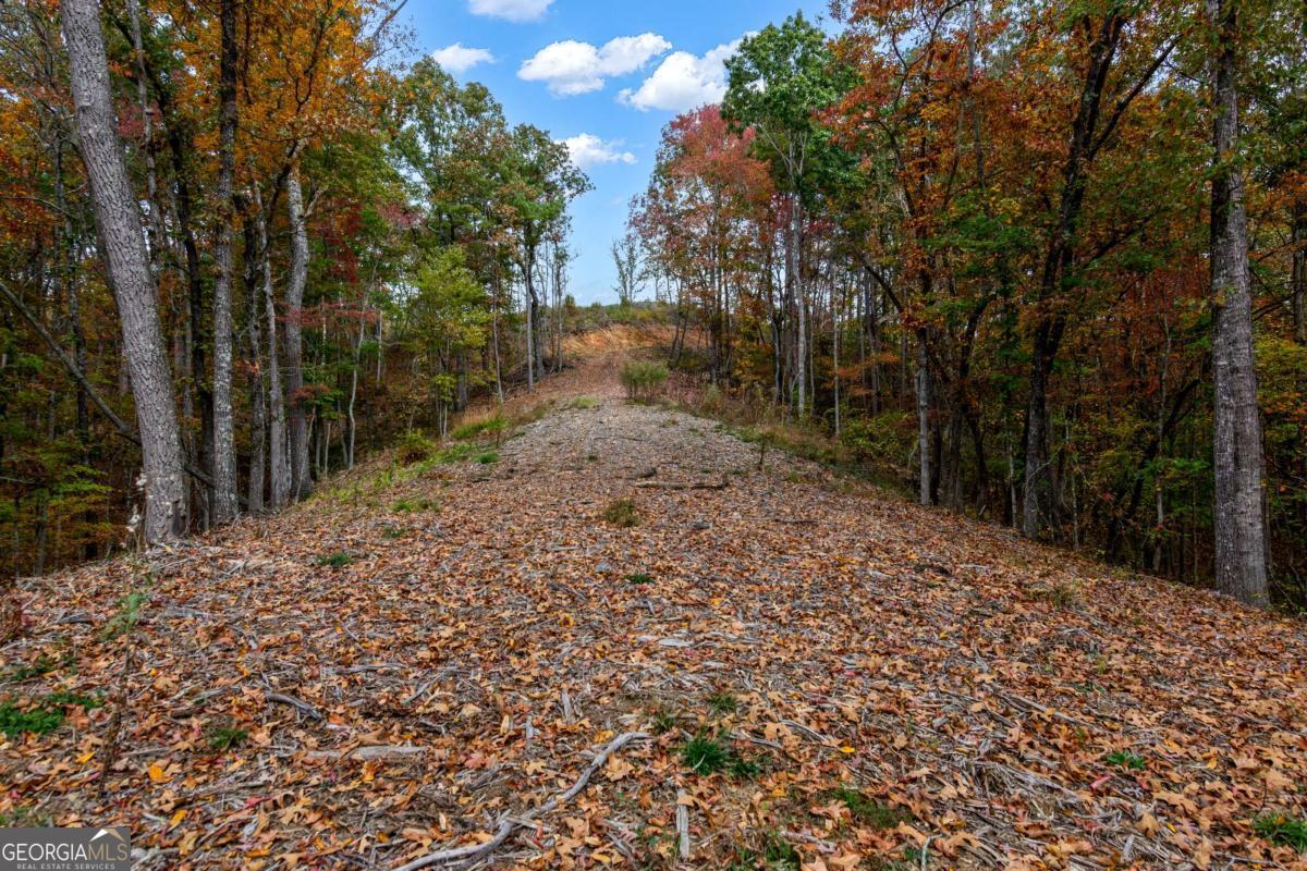 Lot 269 Canoe Way Property Photo 23
