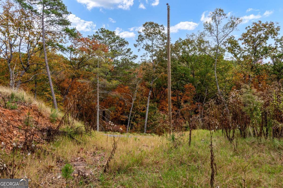 Lot 269 Canoe Way Property Photo 24