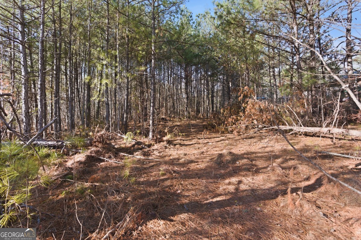 112 Redding Drive Property Photo 17
