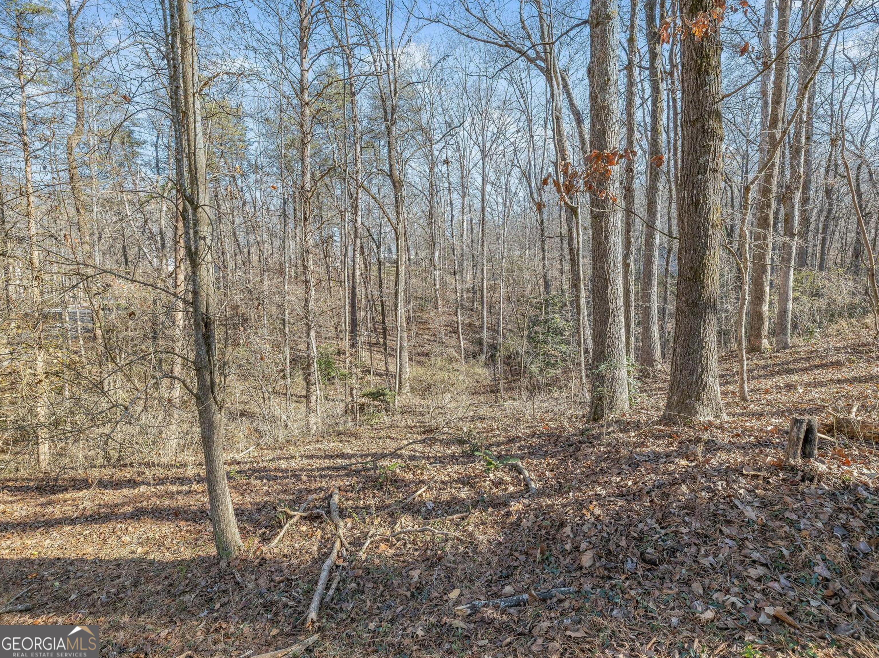 6045 Circle Of Light Drive Property Photo 7