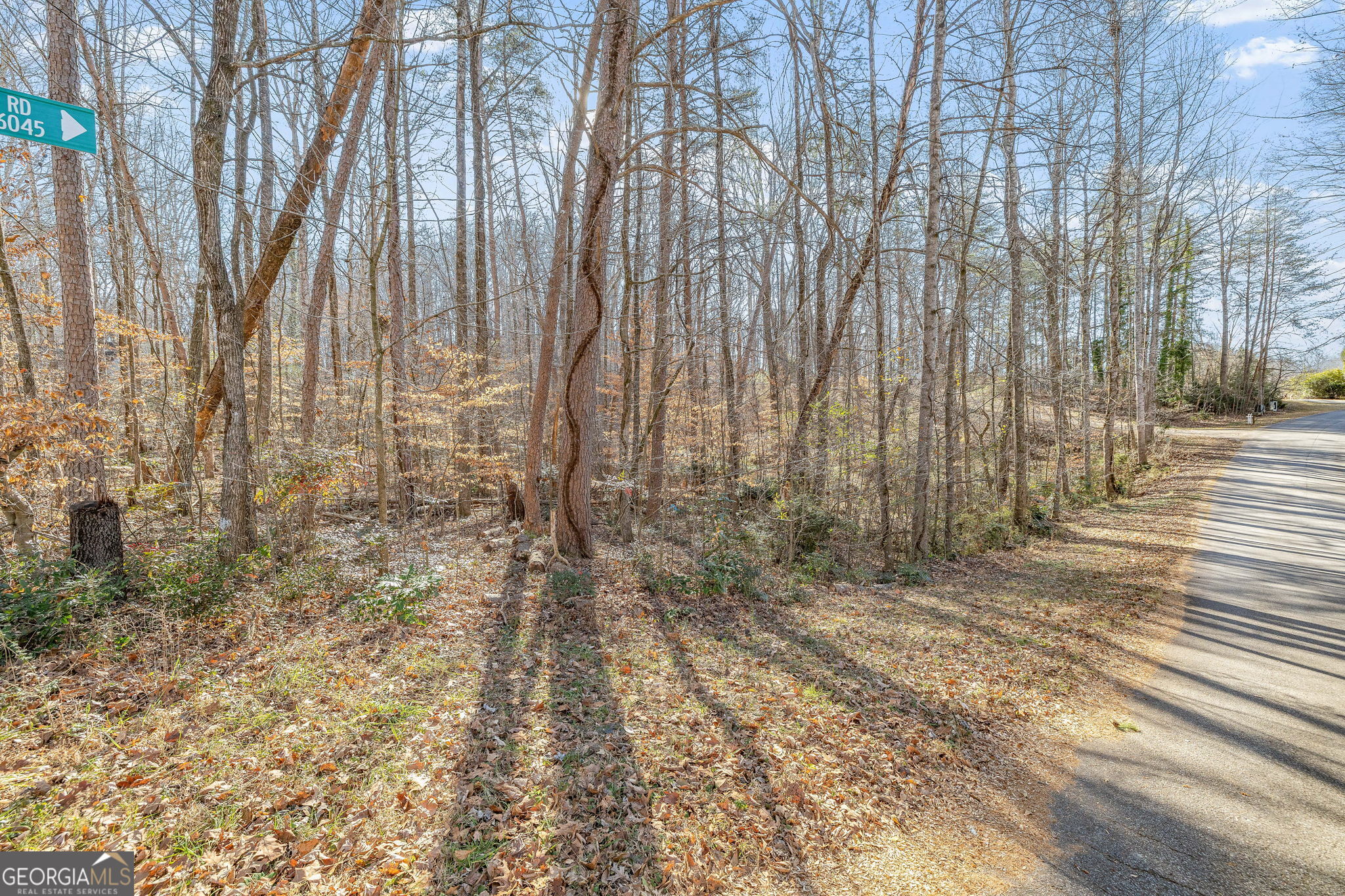 6045 Circle Of Light Drive Property Photo 13