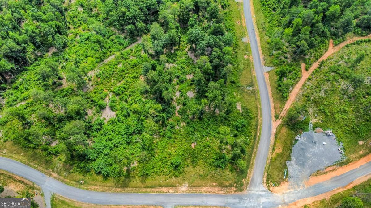 Lot 128 Twisted Oak Road Property Photo 1