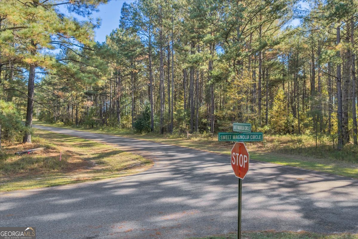 Lot 14 Sweet Magnolia Circle Property Photo 6
