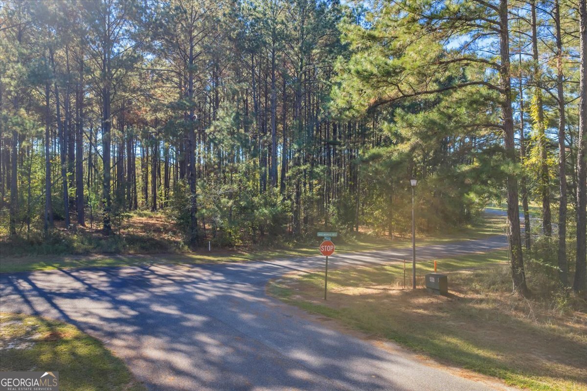 Lot 16 Sweet Magnolia Circle Property Photo 9