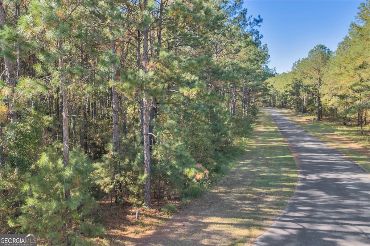 Lot 16 Sweet Magnolia Circle Property Photo 11