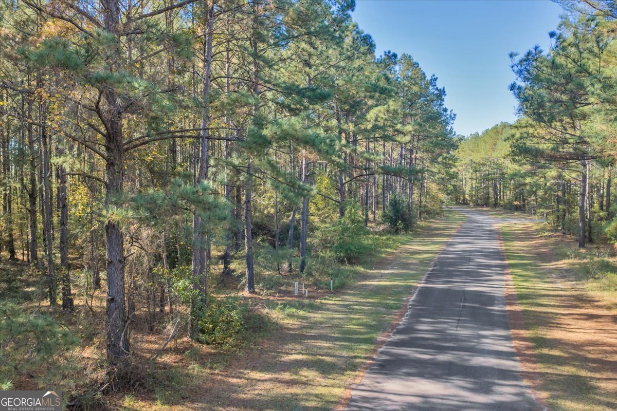 Lot 16 Sweet Magnolia Circle Property Photo 13