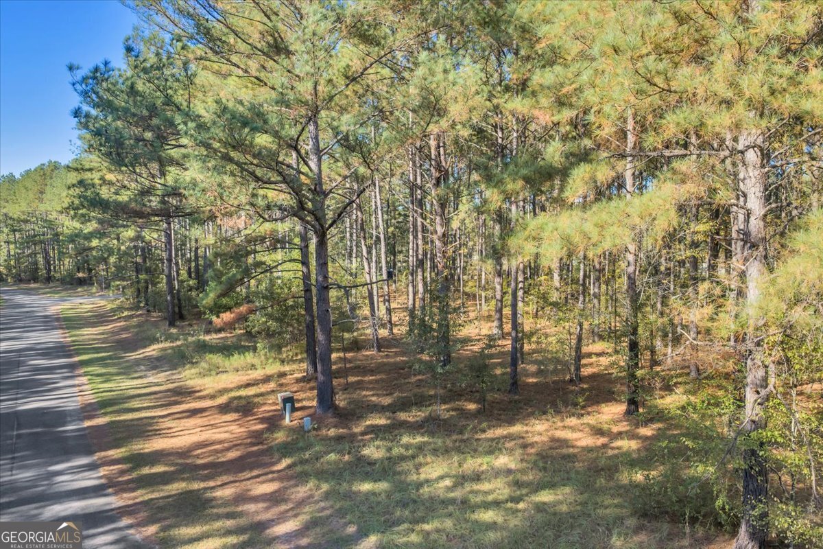 Lot 16 Sweet Magnolia Circle Property Photo 14