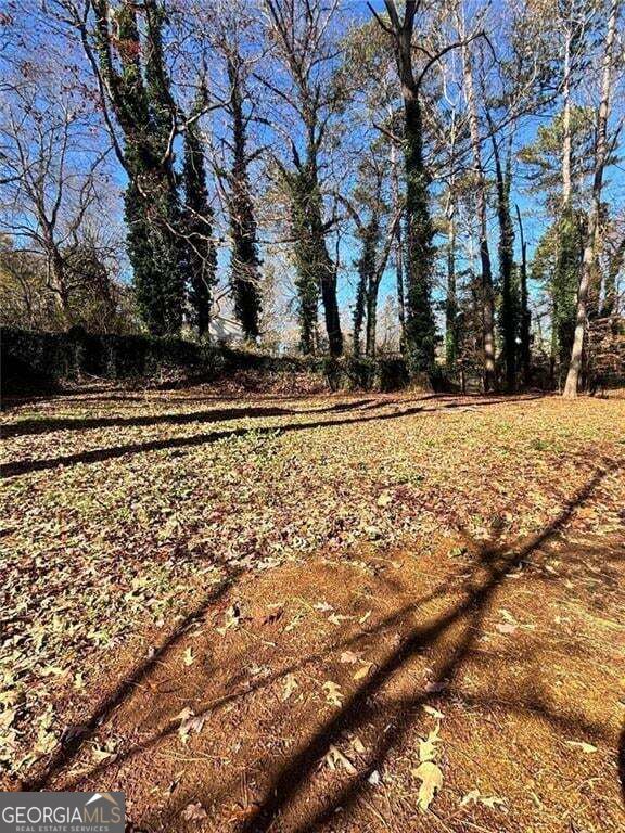423 Orchards Walk Property Photo 35