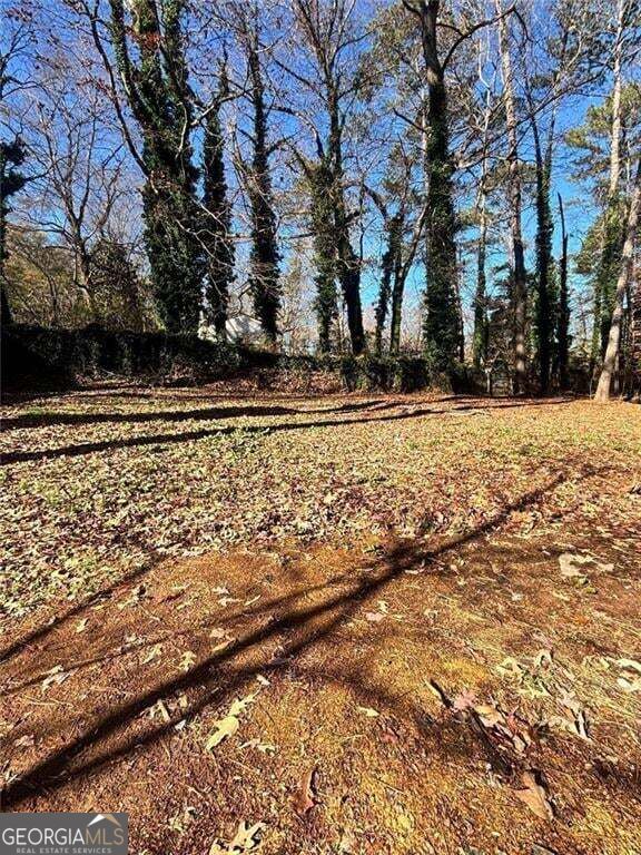 423 Orchards Walk Property Photo 36