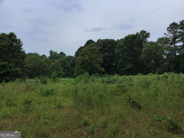 111 Mitchell Road Property Photo 5