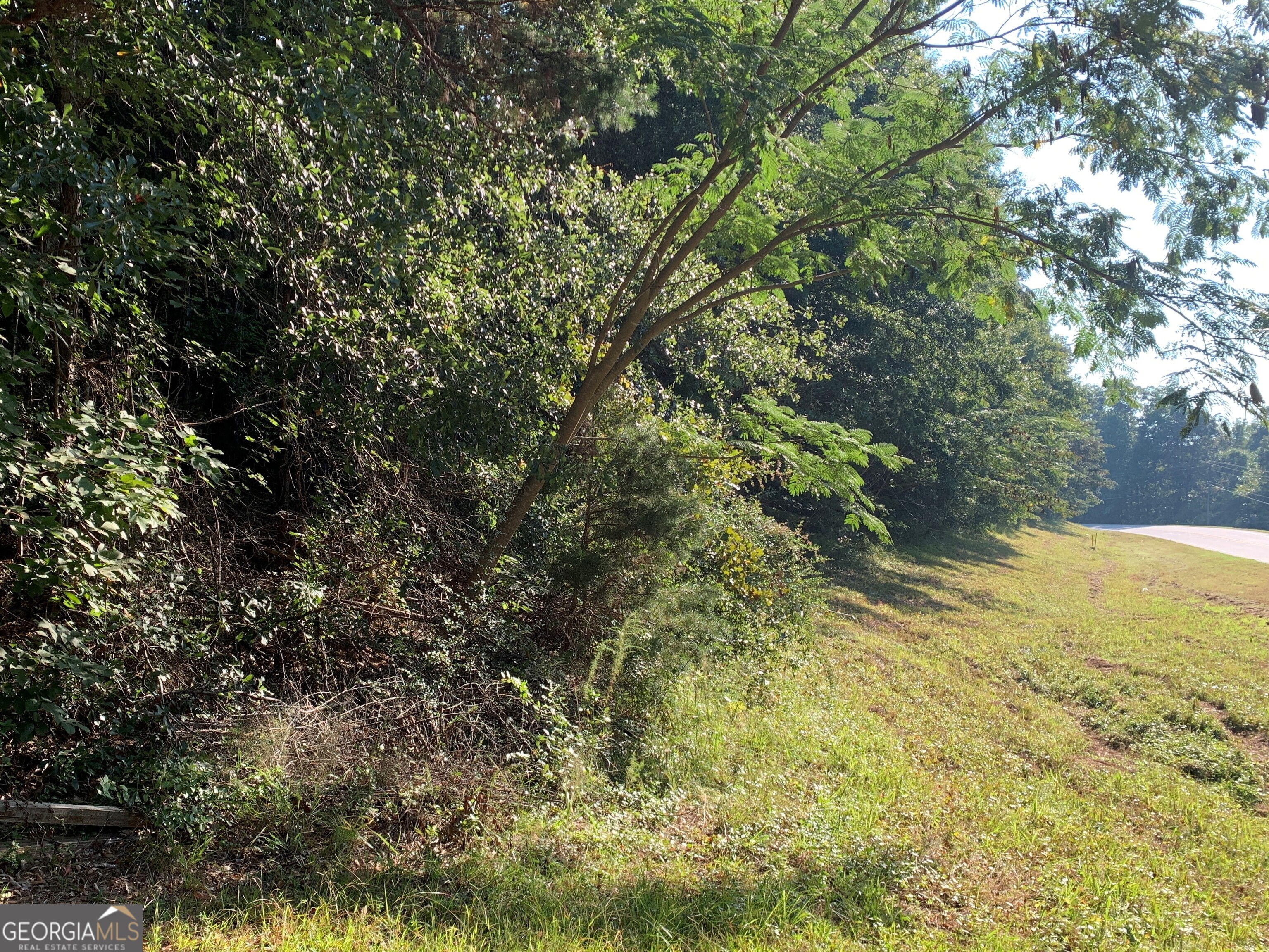 5.10 Acres Hwy 123 Property Photo 1