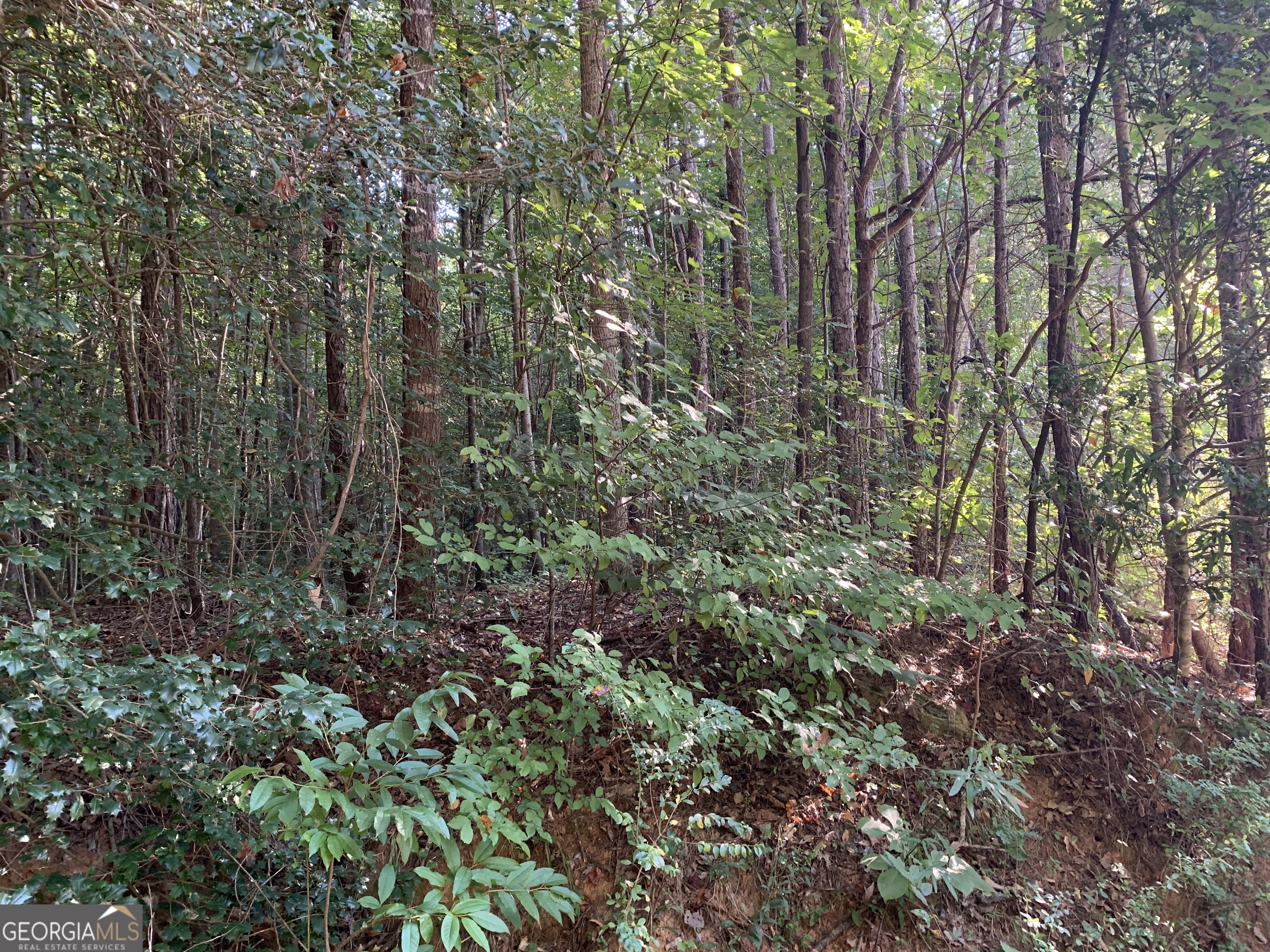 5.10 Acres Hwy 123 Property Photo 2