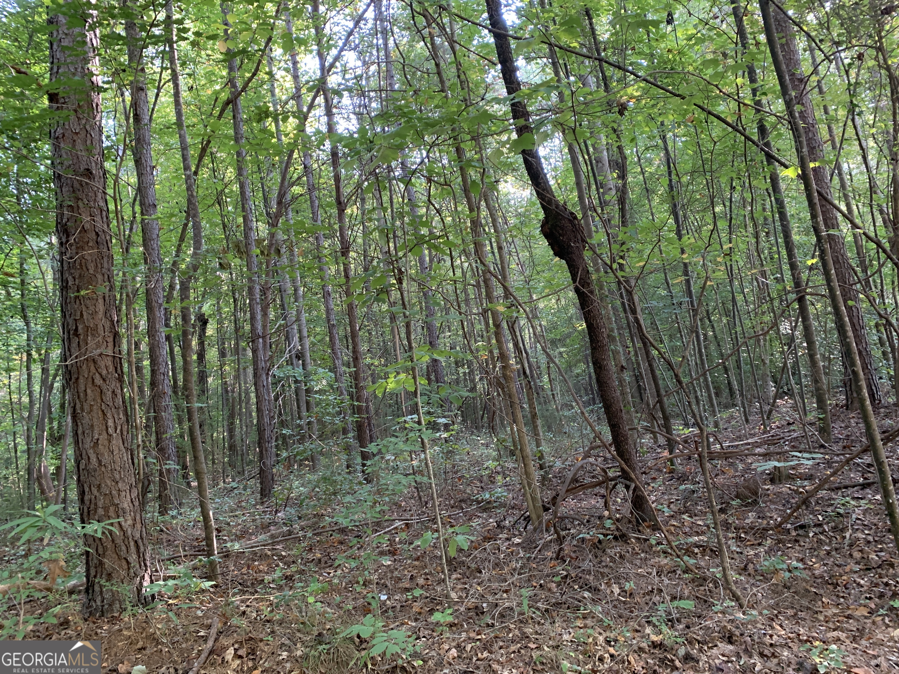 5.10 Acres Hwy 123 Property Photo 3