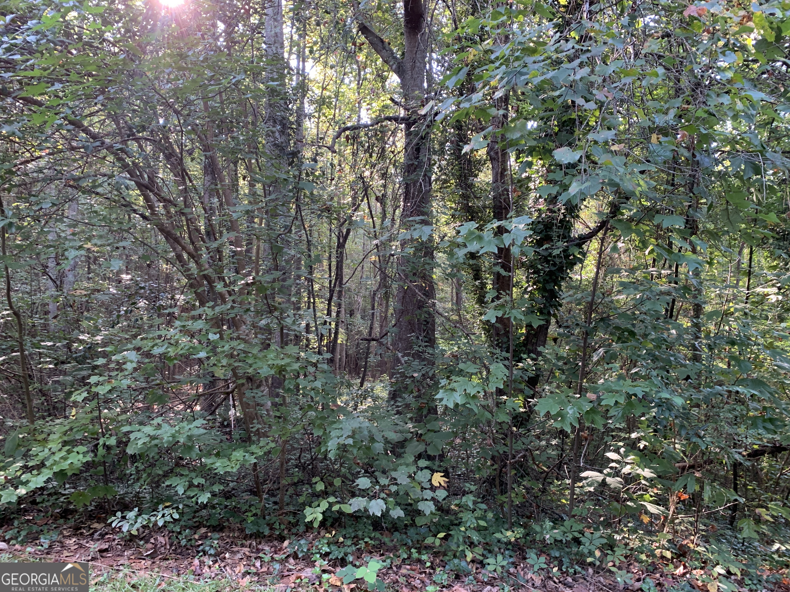 5.10 Acres Hwy 123 Property Photo 4