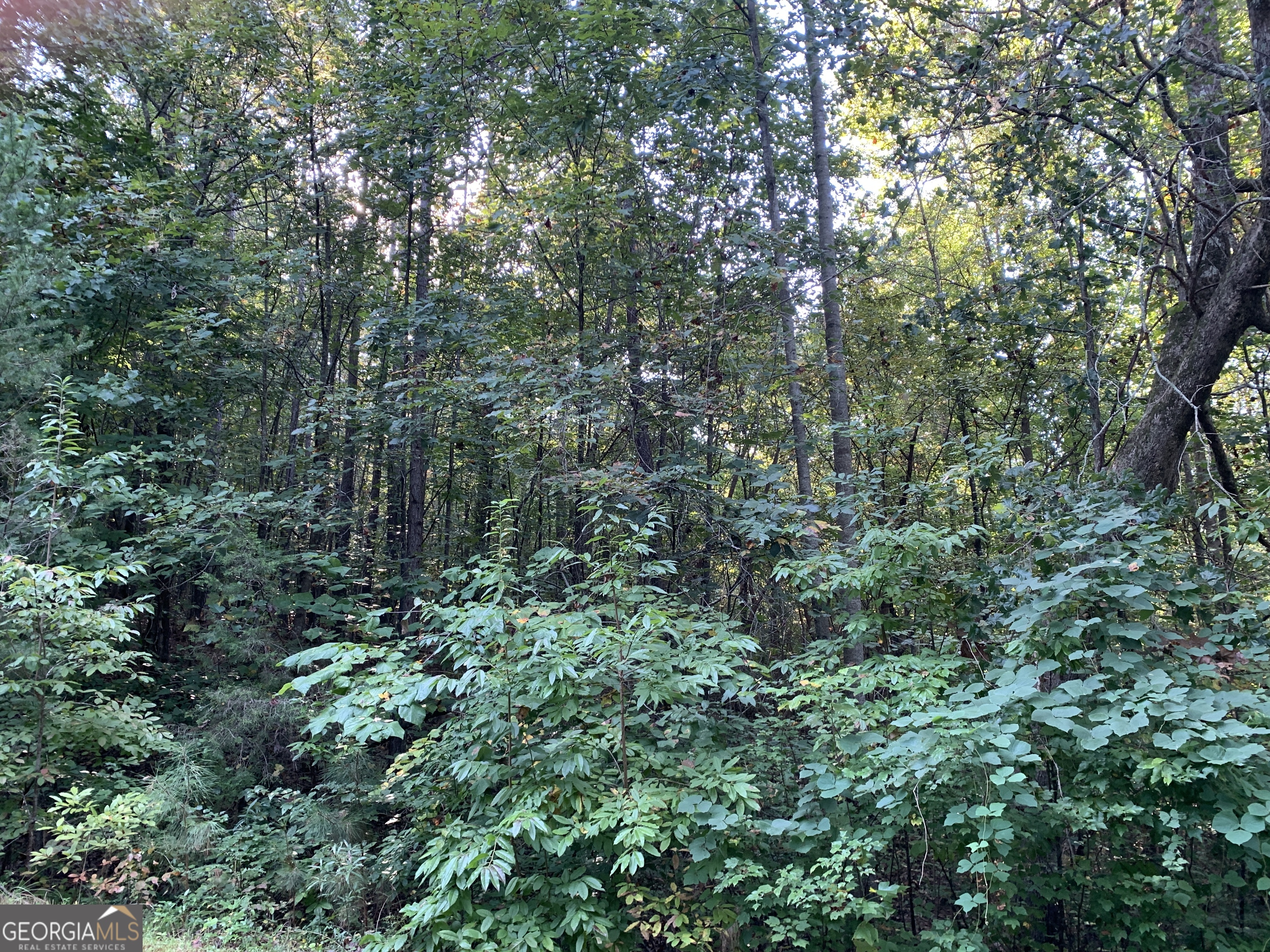 5.10 Acres Hwy 123 Property Photo 5